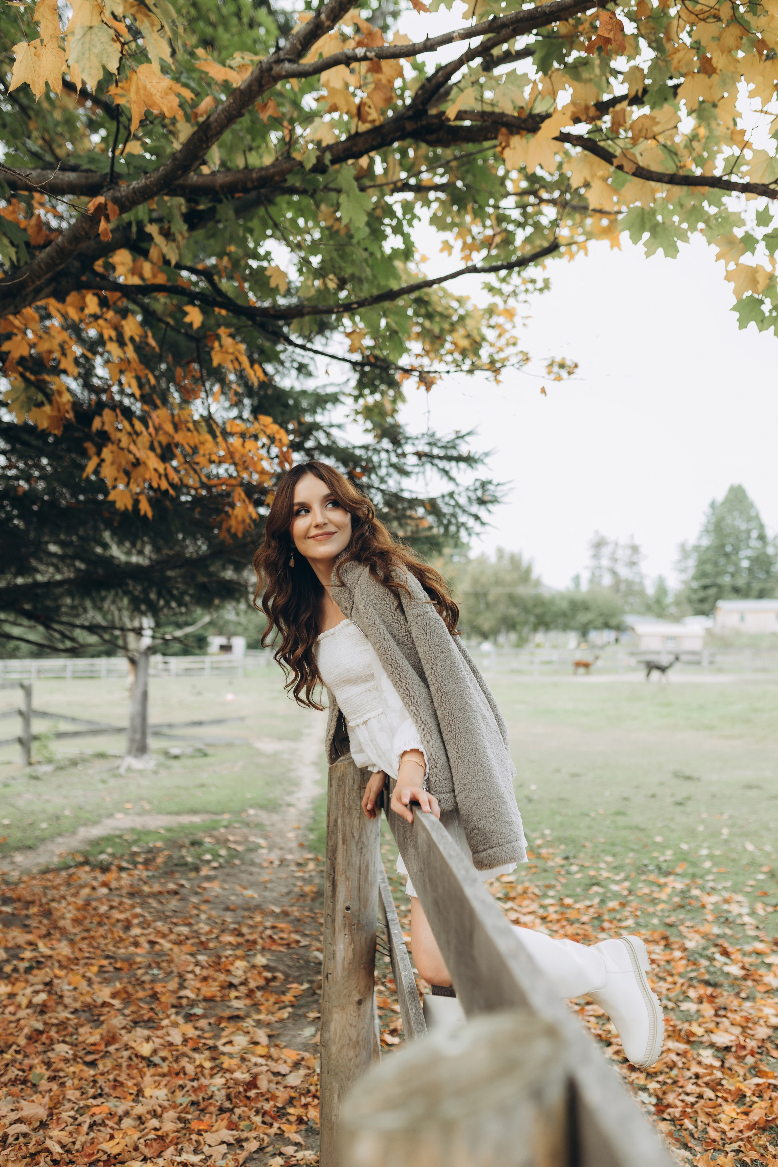 Alpacas Farm. Chernenko.photography