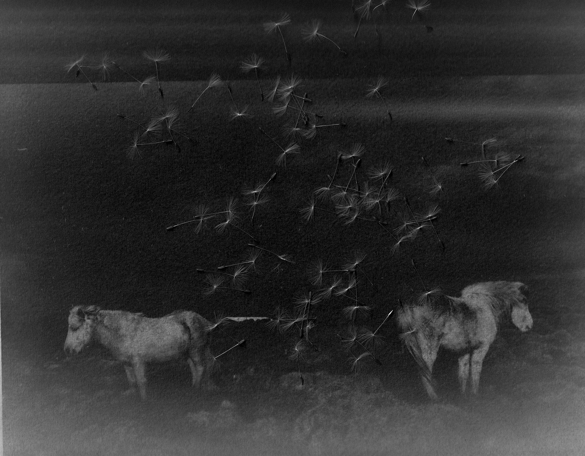 Babcia (ongoing). Jana Gertz