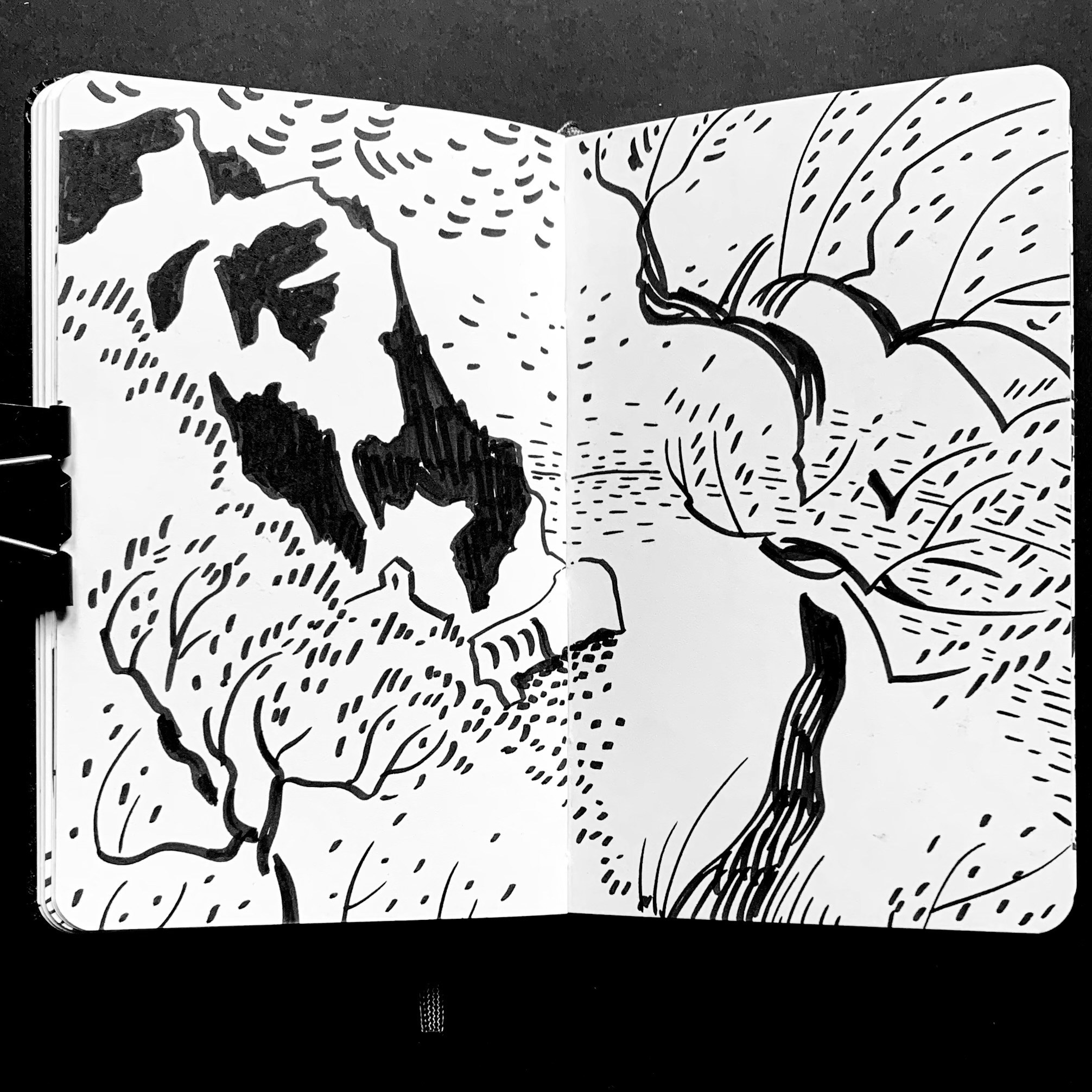 Liguria. Nadia Kuprina. Artist