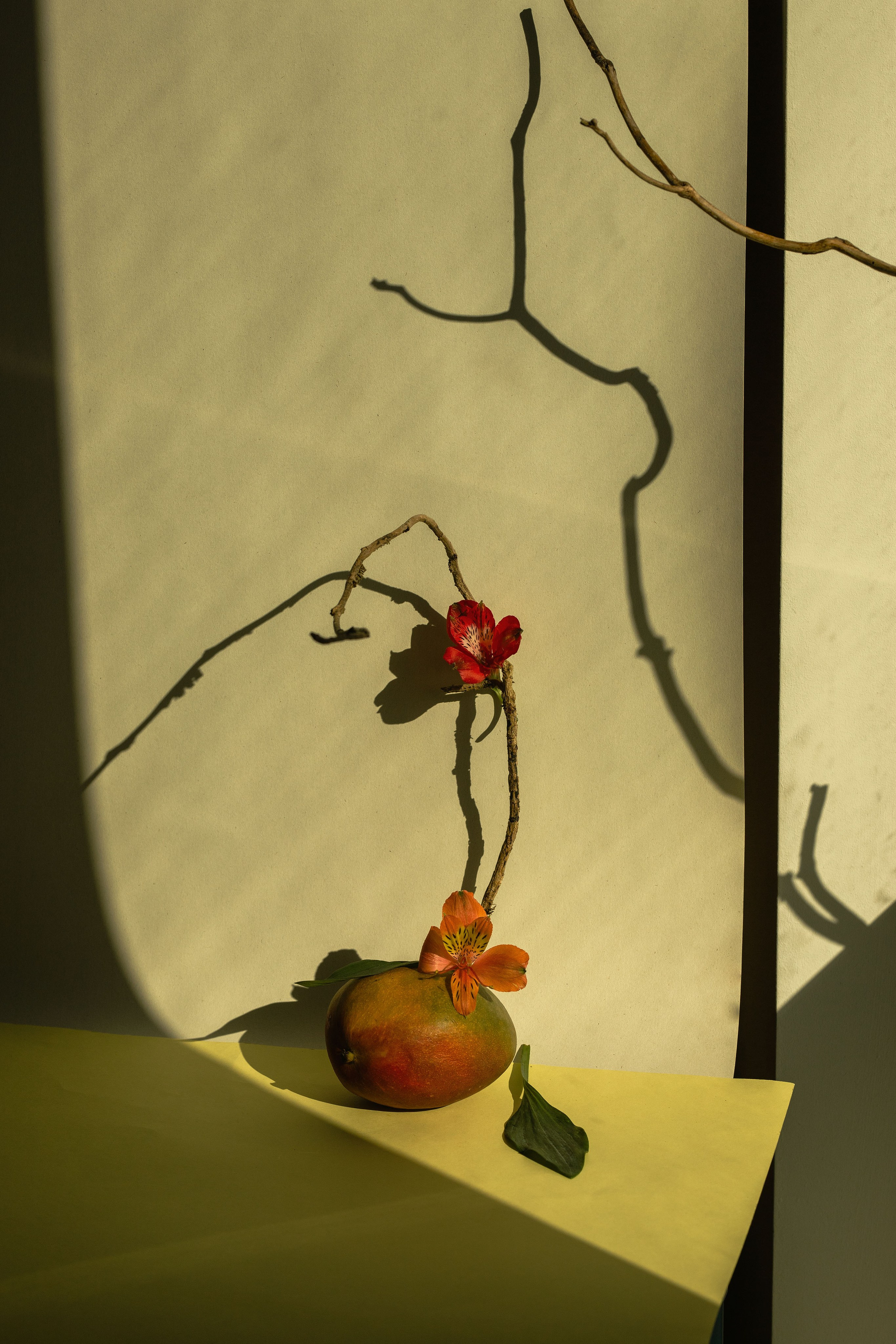 Marina Tsaregorodtseva Fine Art photographer, London