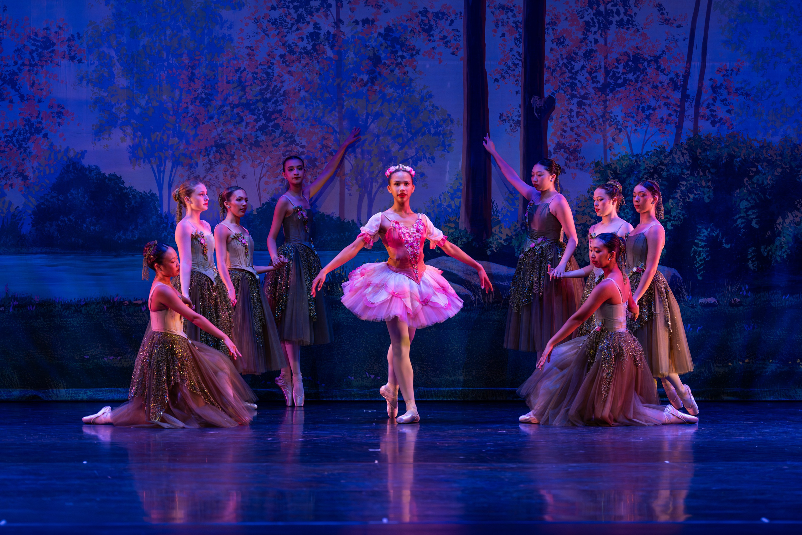 Ballet Photographer. Santa Clarita Photographer