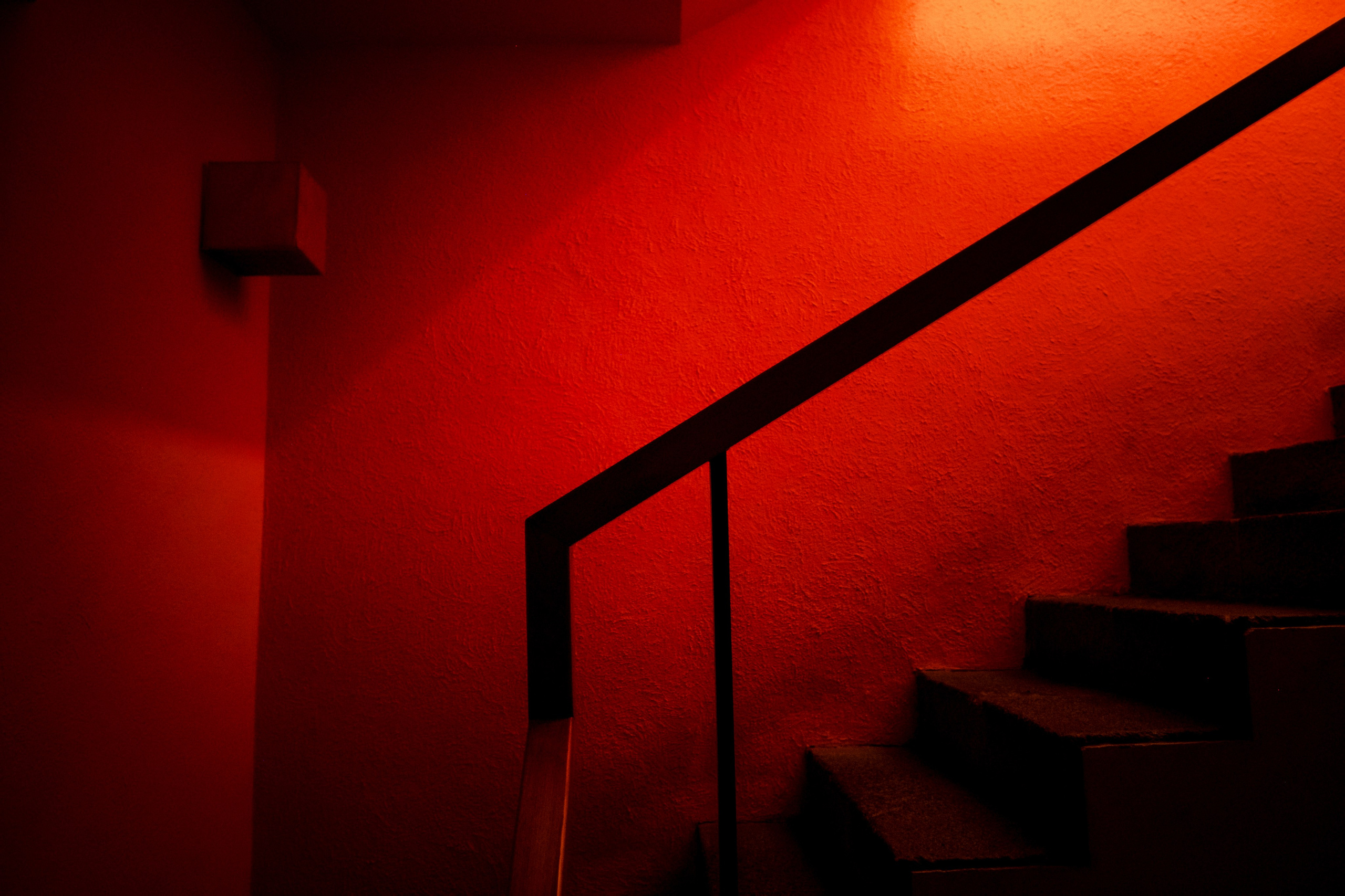 Brandon & Leah. Wedding and family photographer in Mexico City