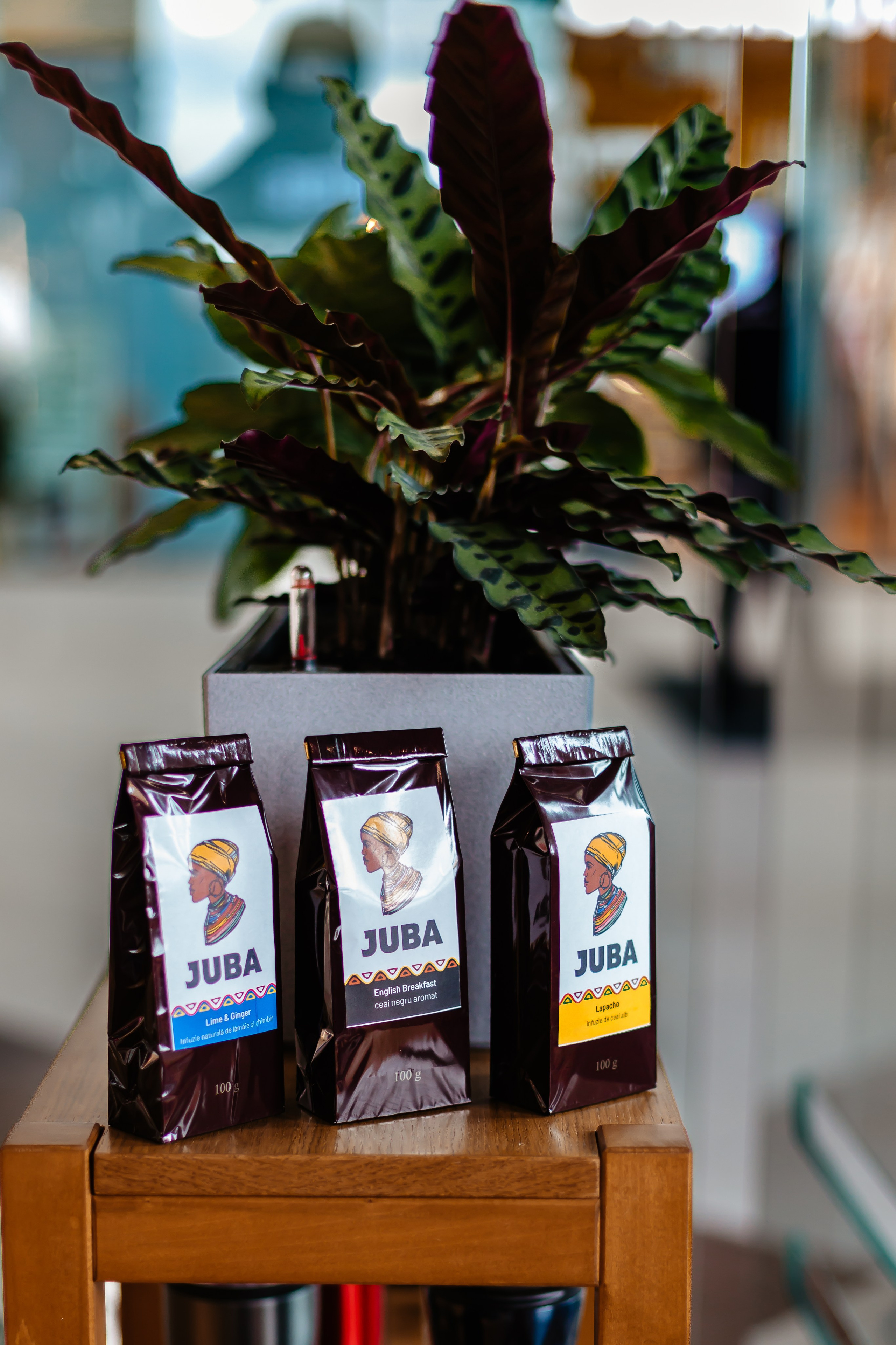 Juba Cofee - Argeș Mall Pitești. Fotograf Profesionist Pitesti-Bucuresti| Mircea Seinea