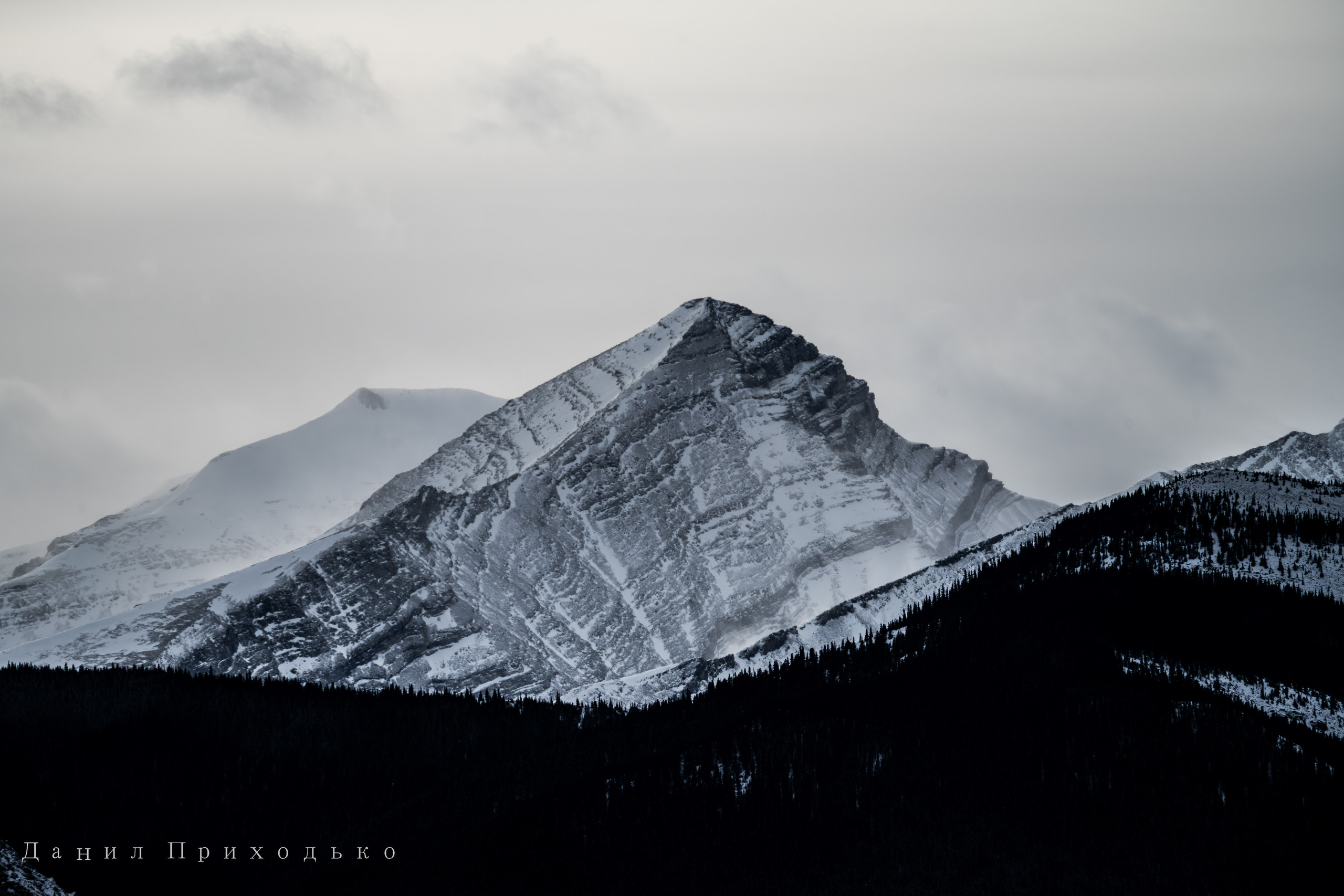 Danil Prikhodko Photography