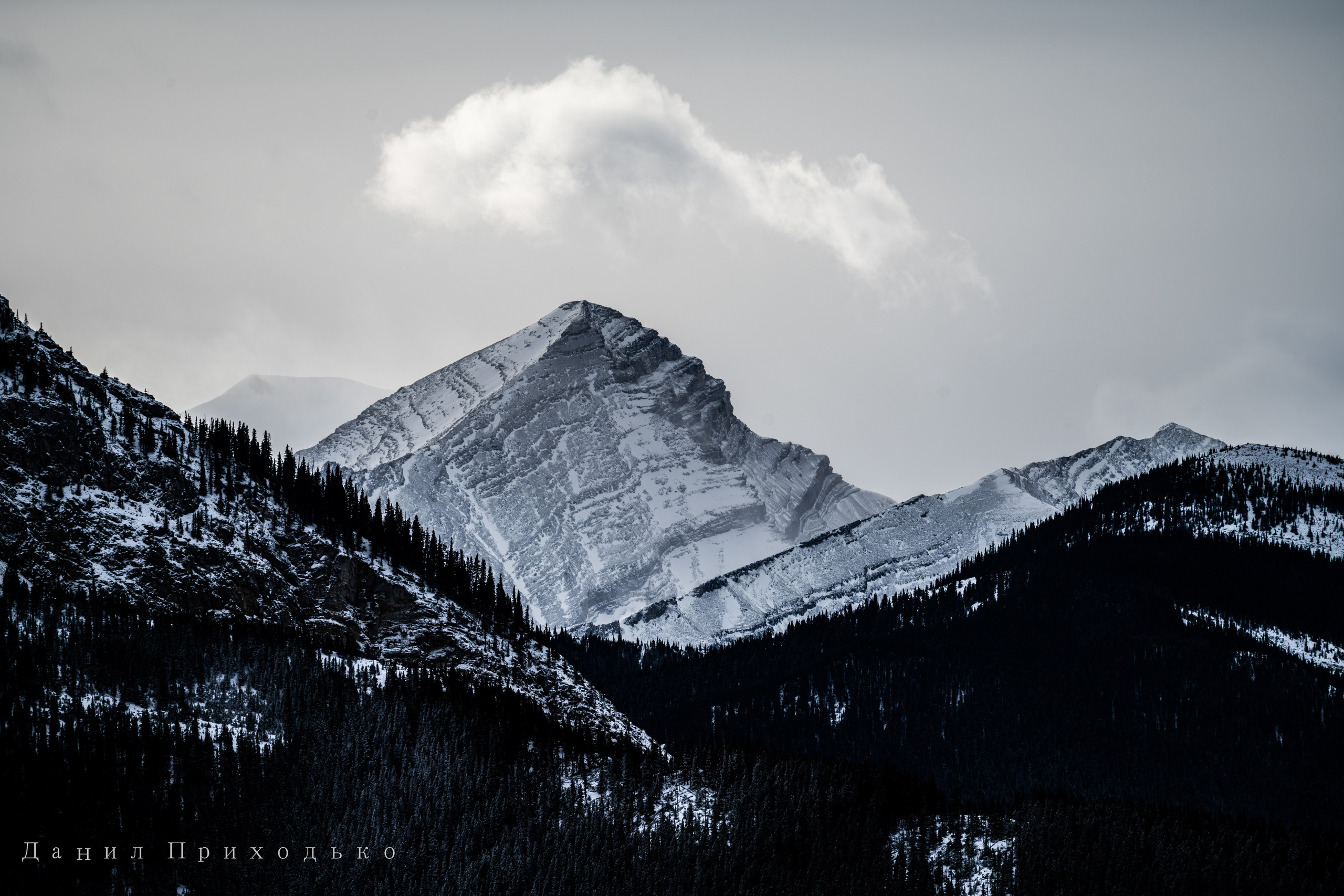 Danil Prikhodko Photography