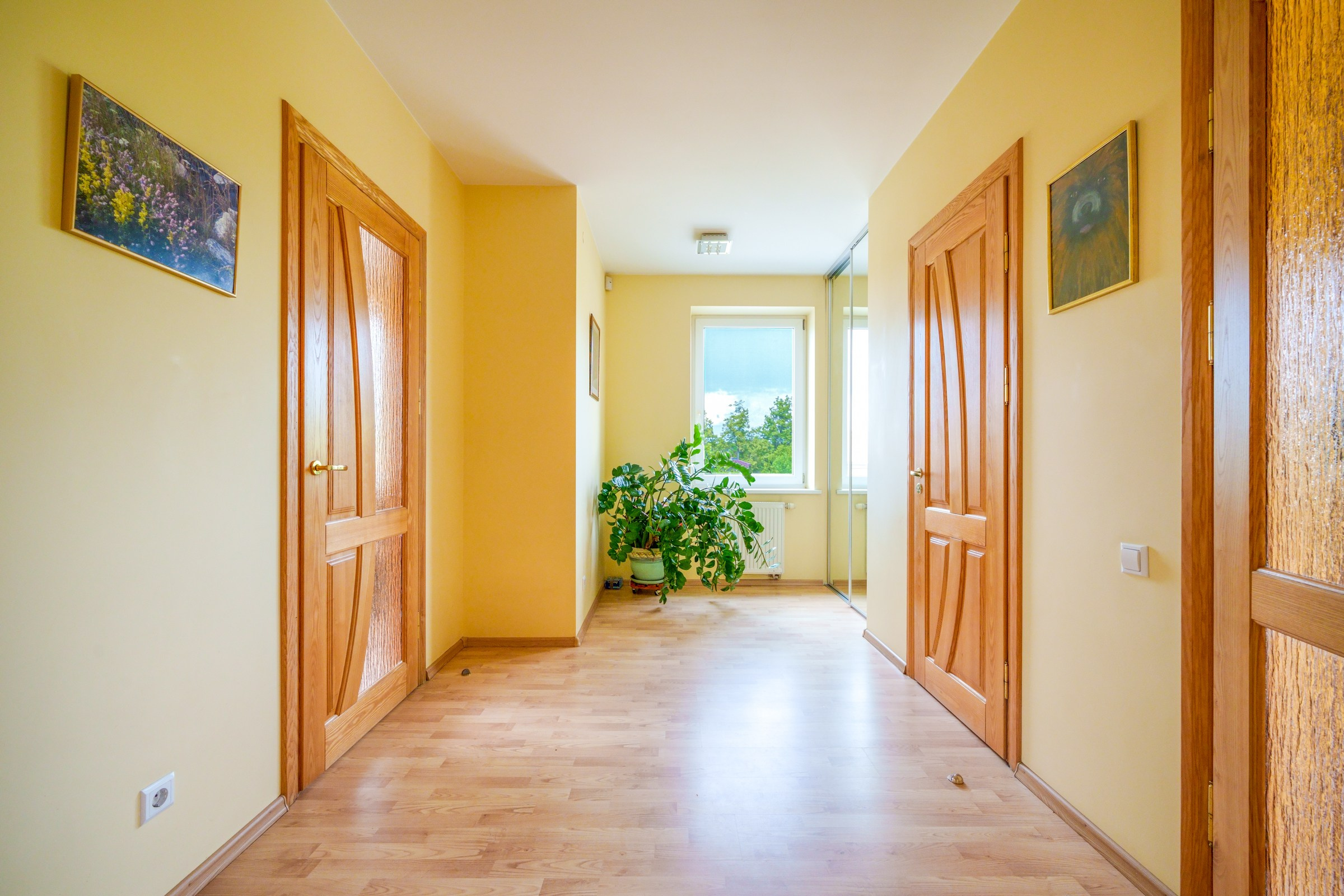 Viršupio sodų 1-oji. Elina Sapiega fotografė Vilniuje