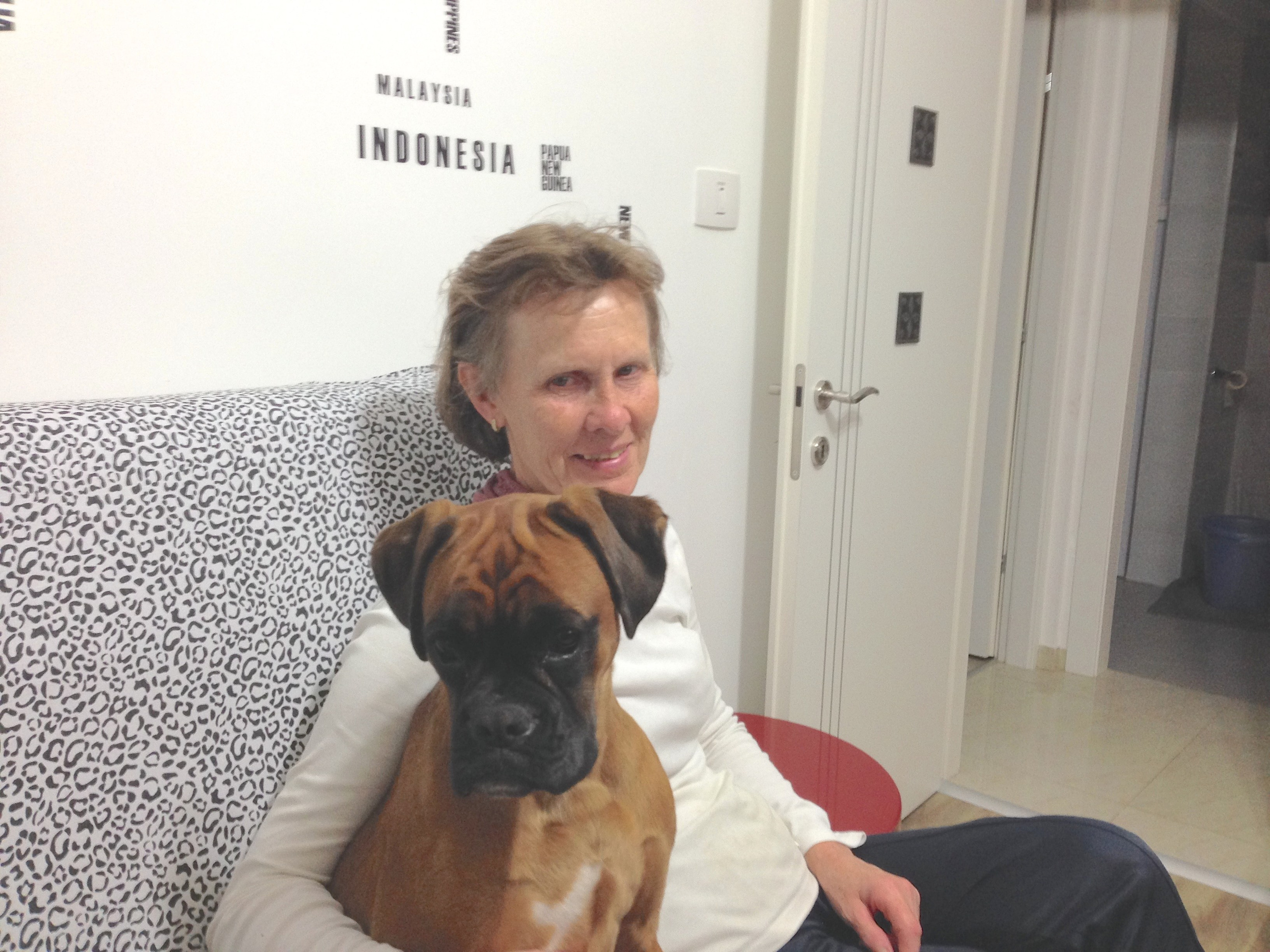 My ״Star״ Boxer Dog