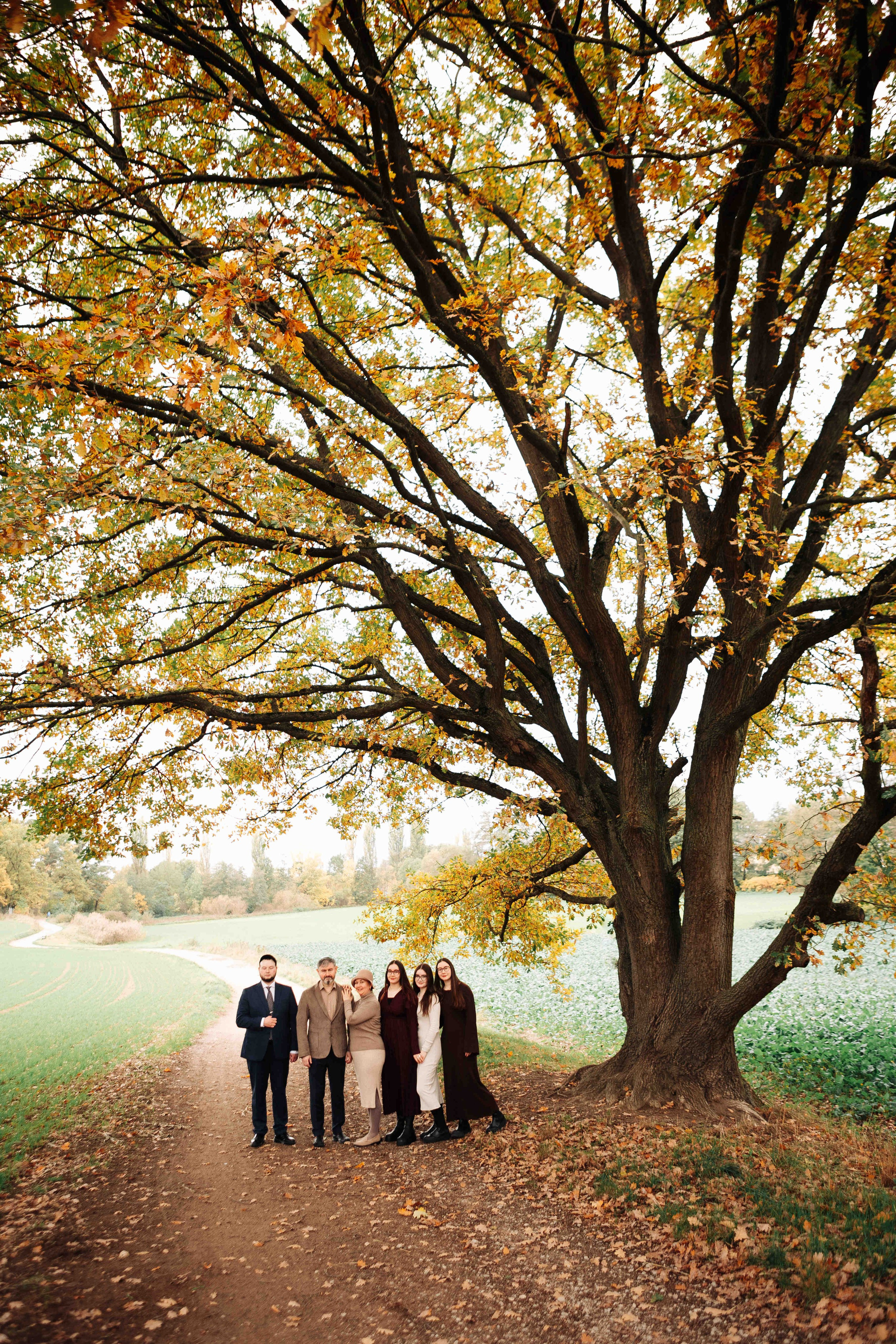 BIG OAK, BIG FAMILY. Https://shi-photo.com/