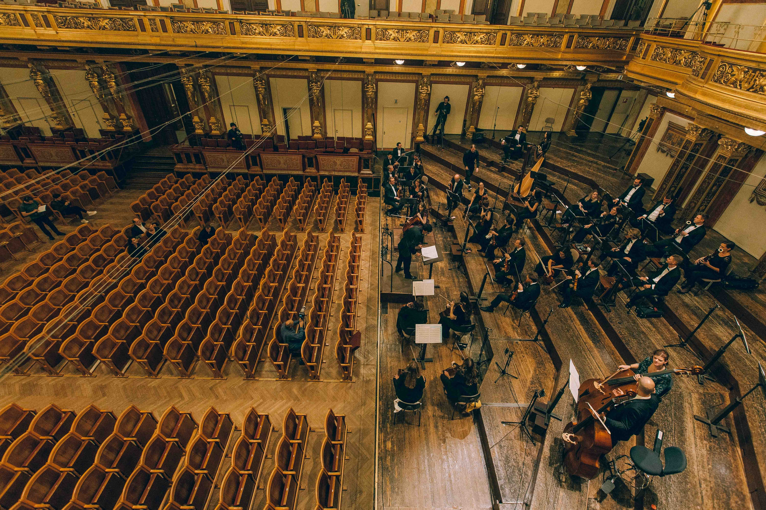 MUSIKVEREIN (VIENNA). Wedding&Event photographer Ismail Rzayev in Baku