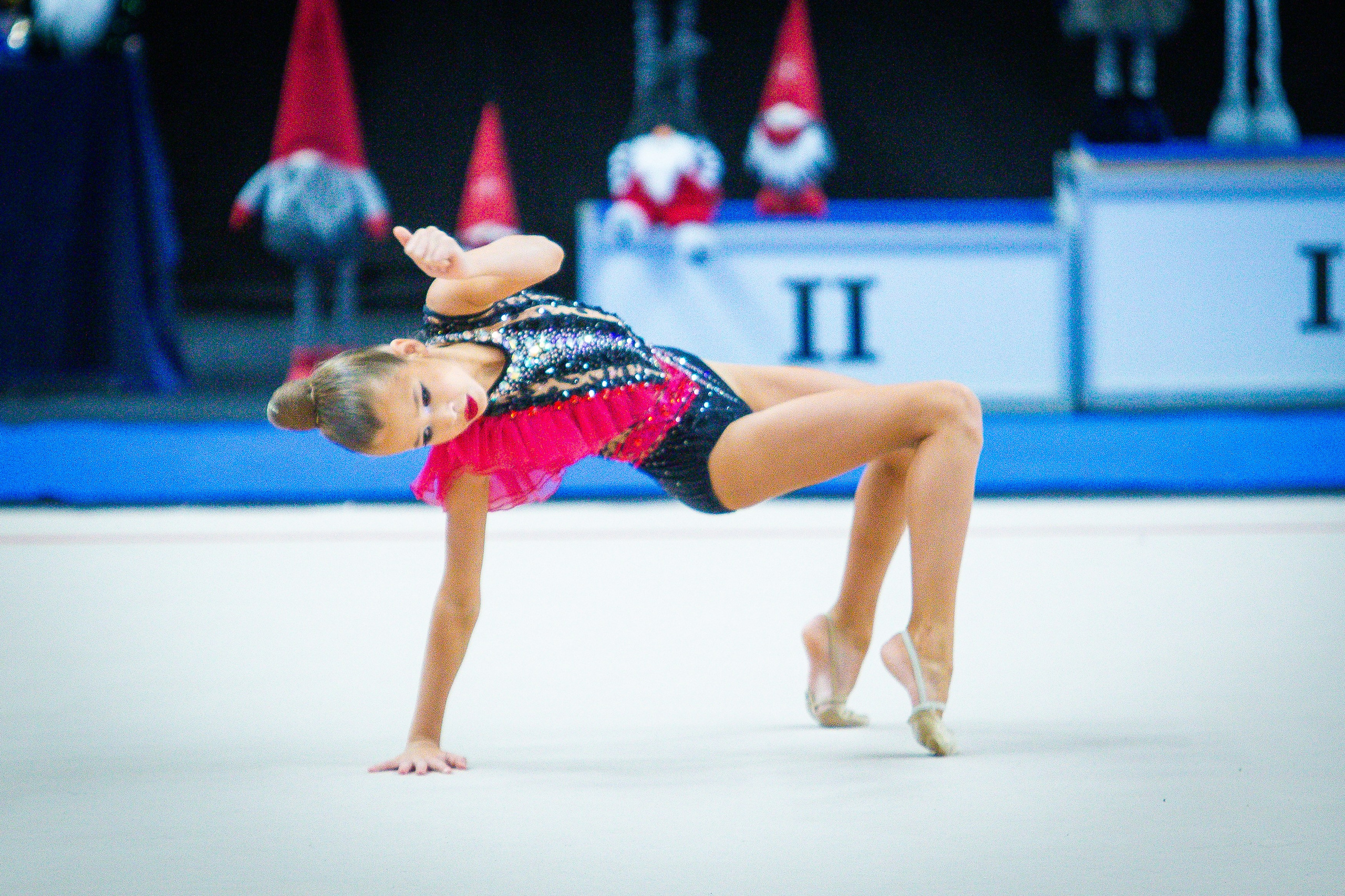 Галерея 2. Спортивная фотография, видео, трансляции