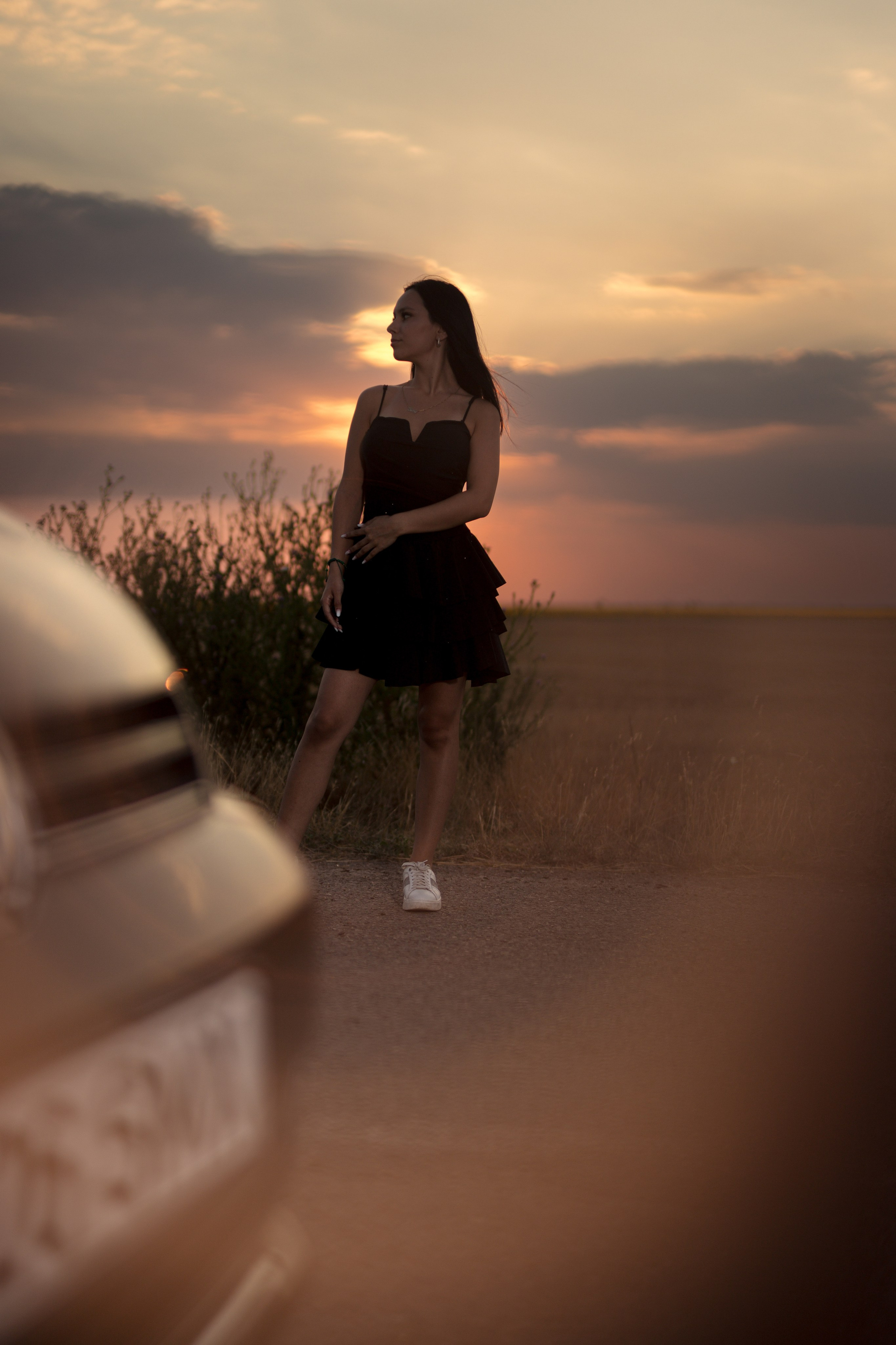Simona. Mihnea Stoian