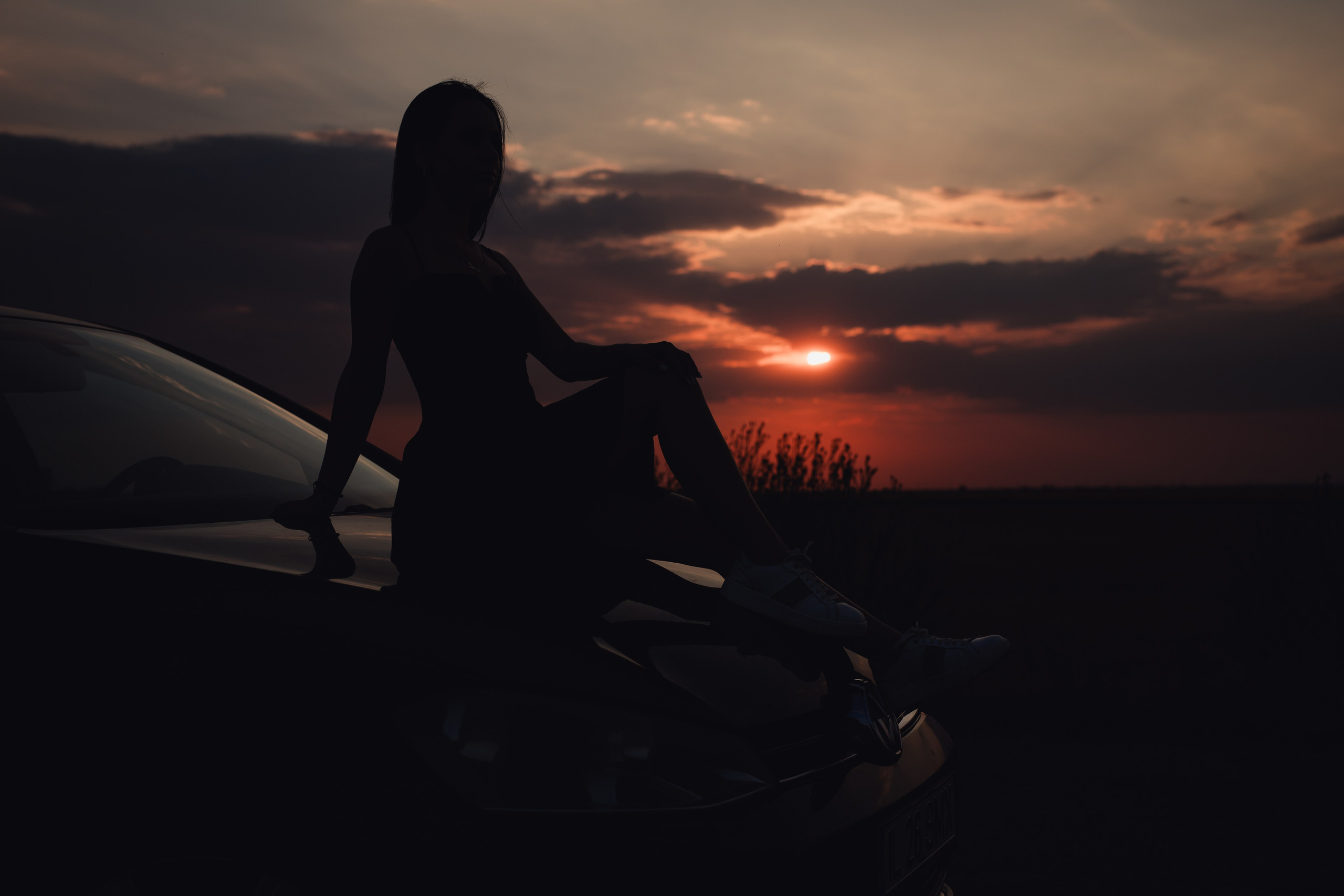 Simona. Mihnea Stoian