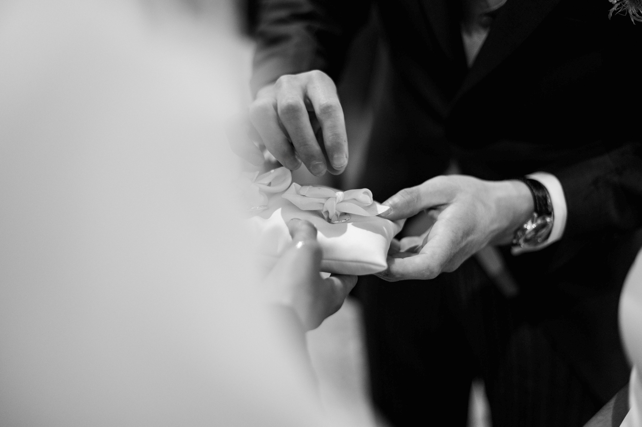 Portfolio. Photographe Mykhaylyk Vladyslav