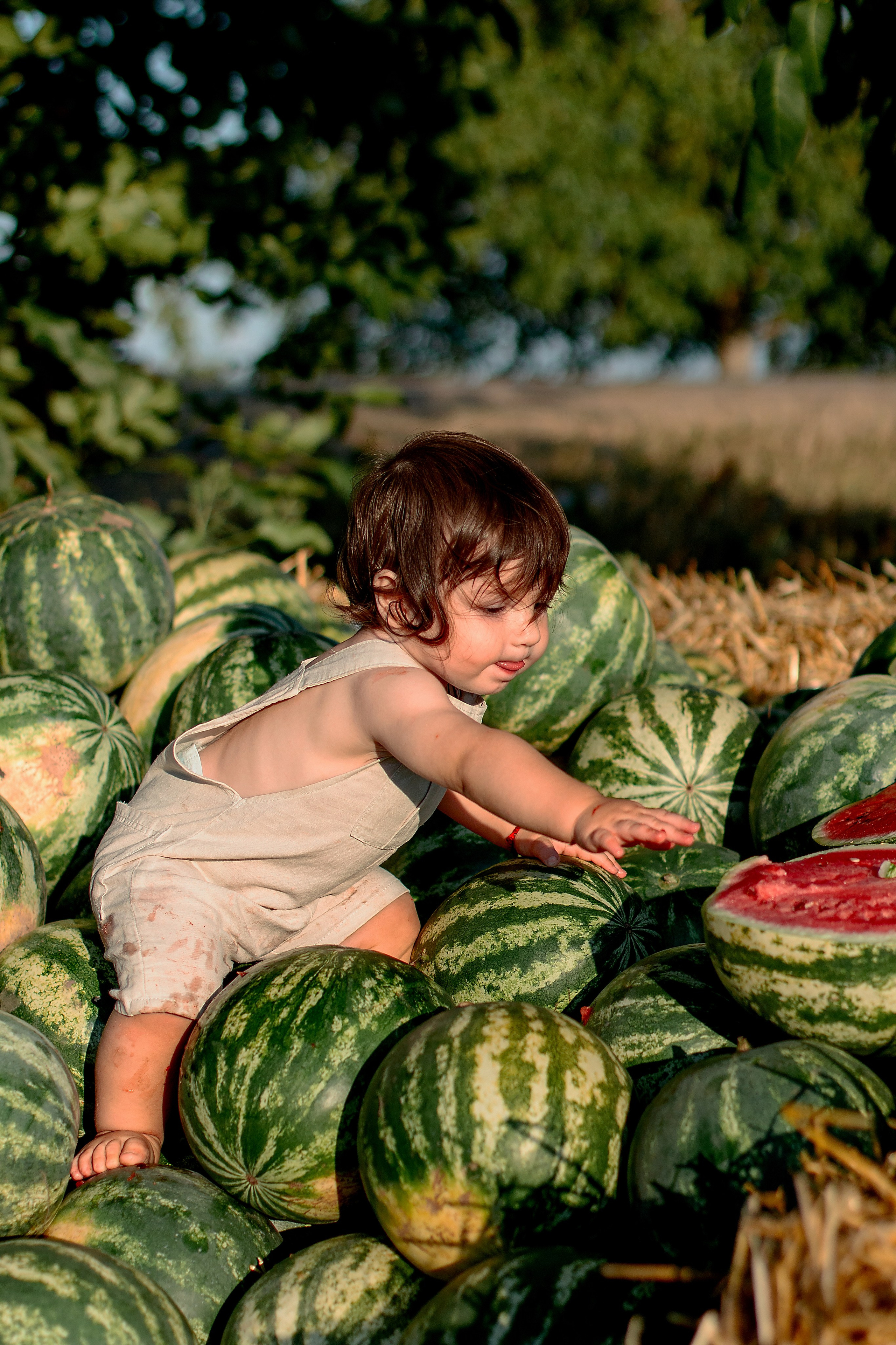 Арбузы. Детский и семейный фотограф в г. Бельцы