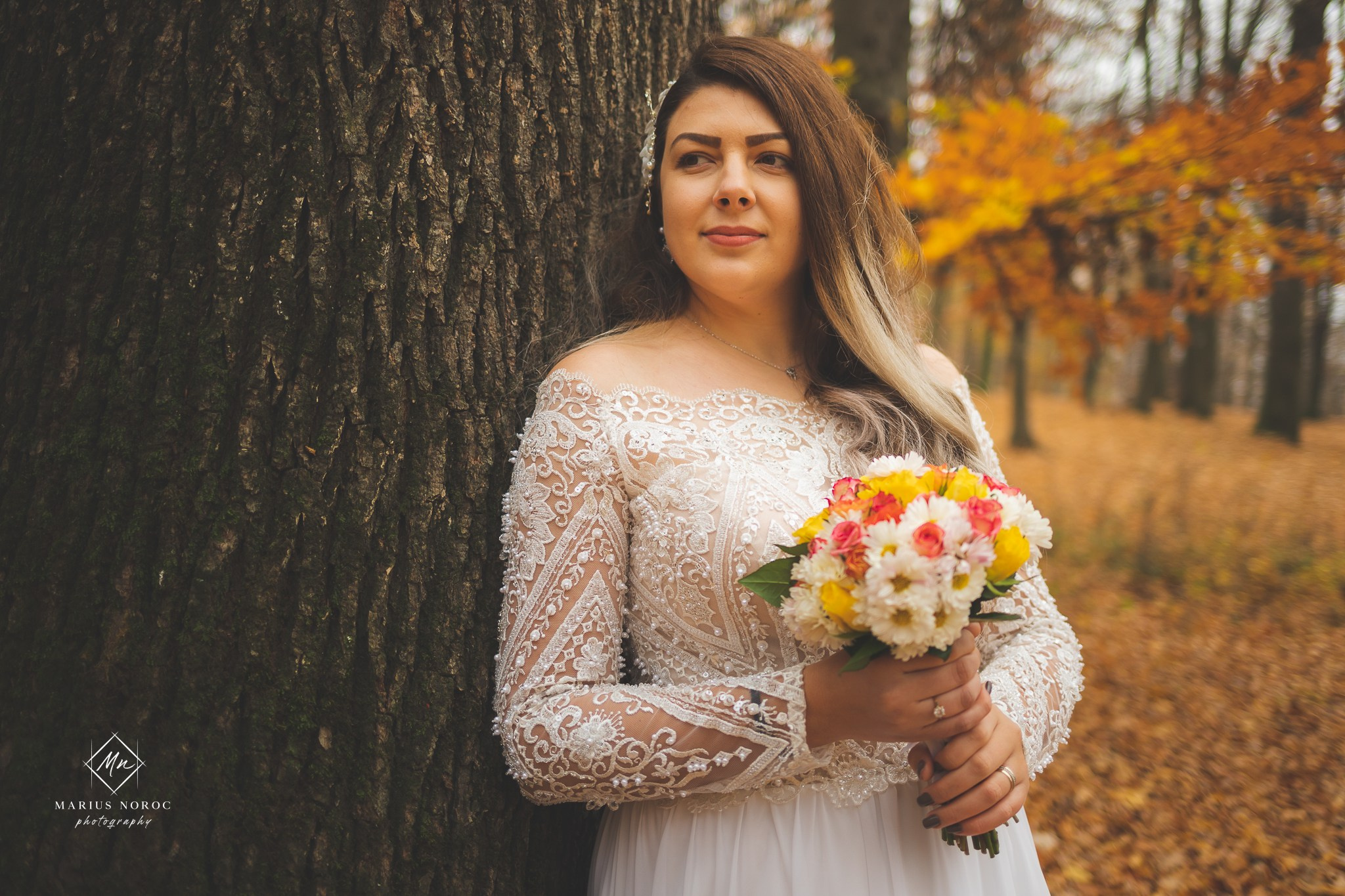 Oana & Daniel | Padurea Bucium Iasi