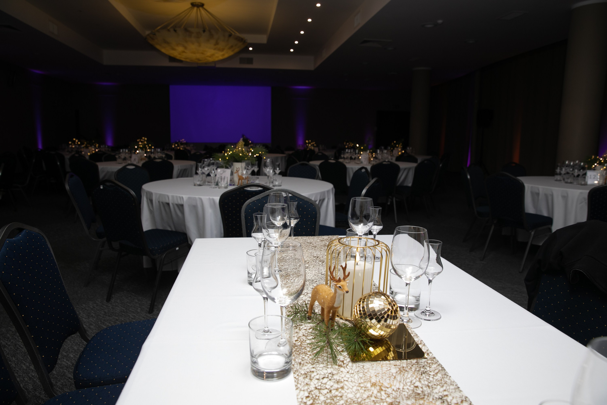 New Year 2025 Bellevue Hotel. Sandra Garanca Portrait and event photographer