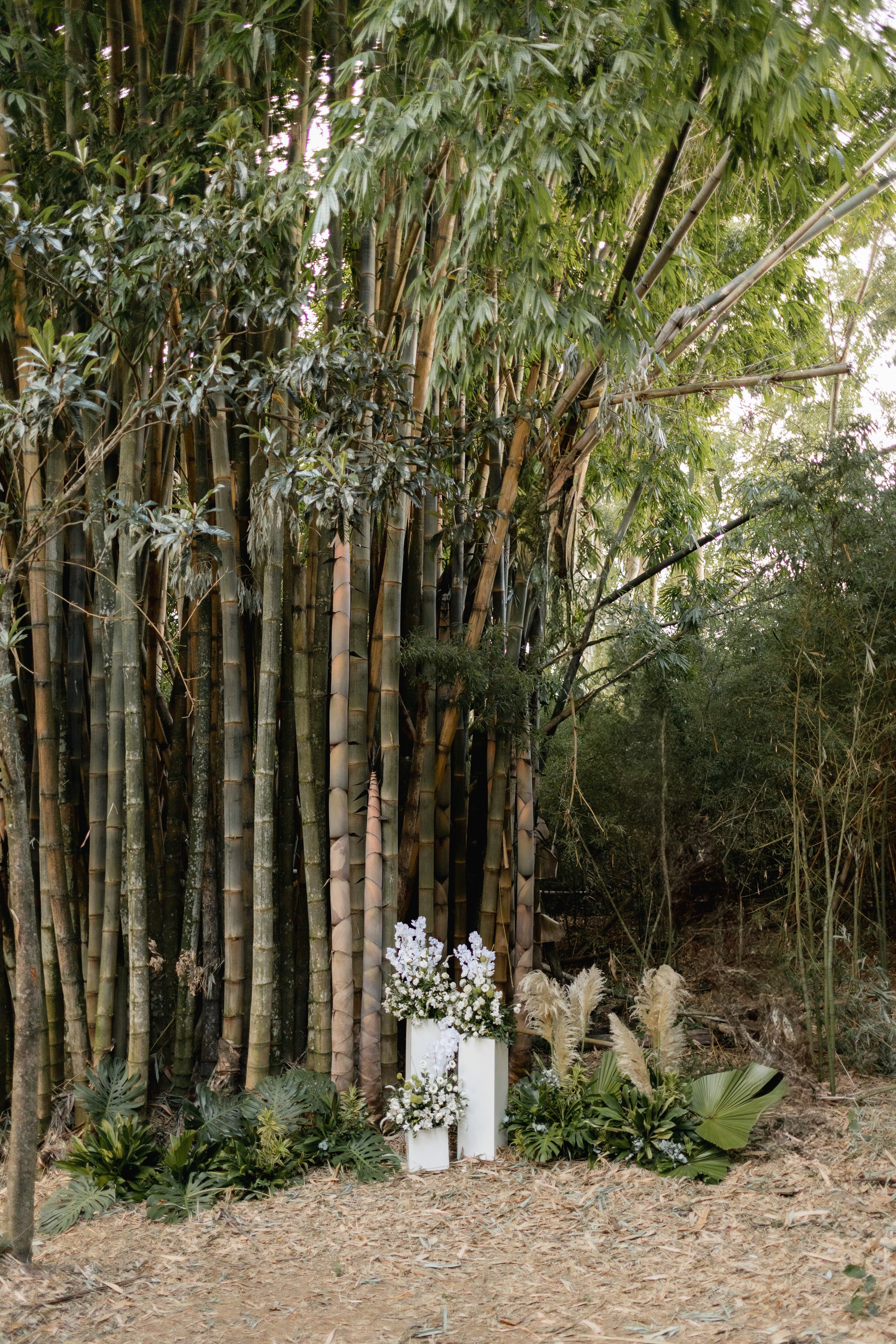 Editorial Dom Brunello