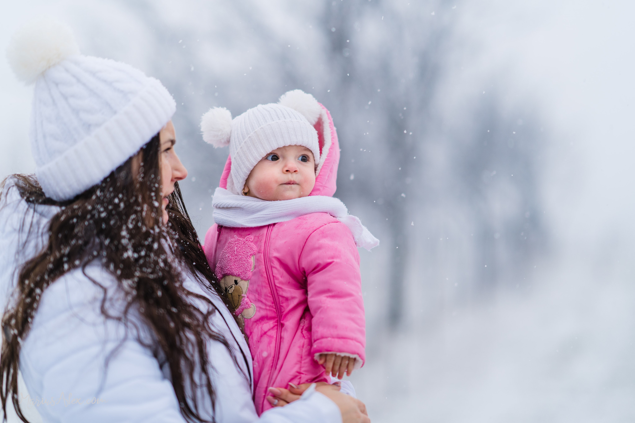 Fotografii pe timp de Iarnă în Suceava