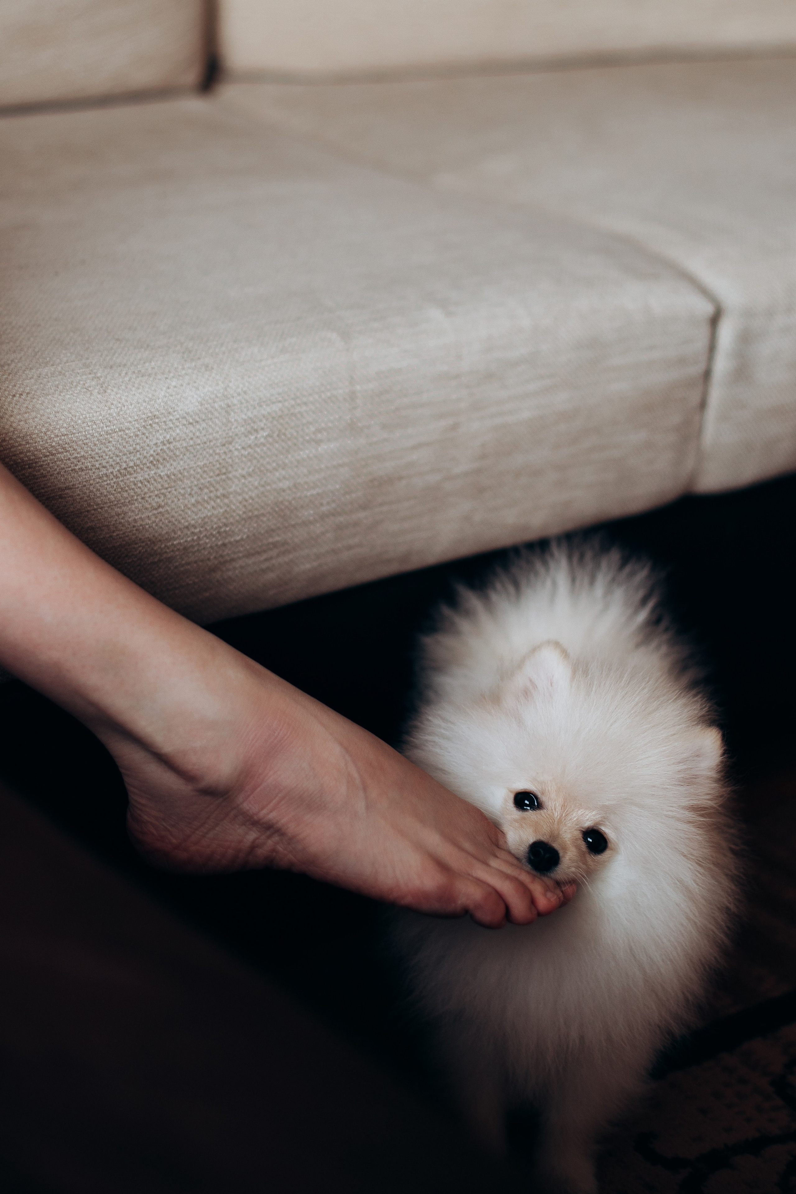 Андрей, Юля и Даня. Главная