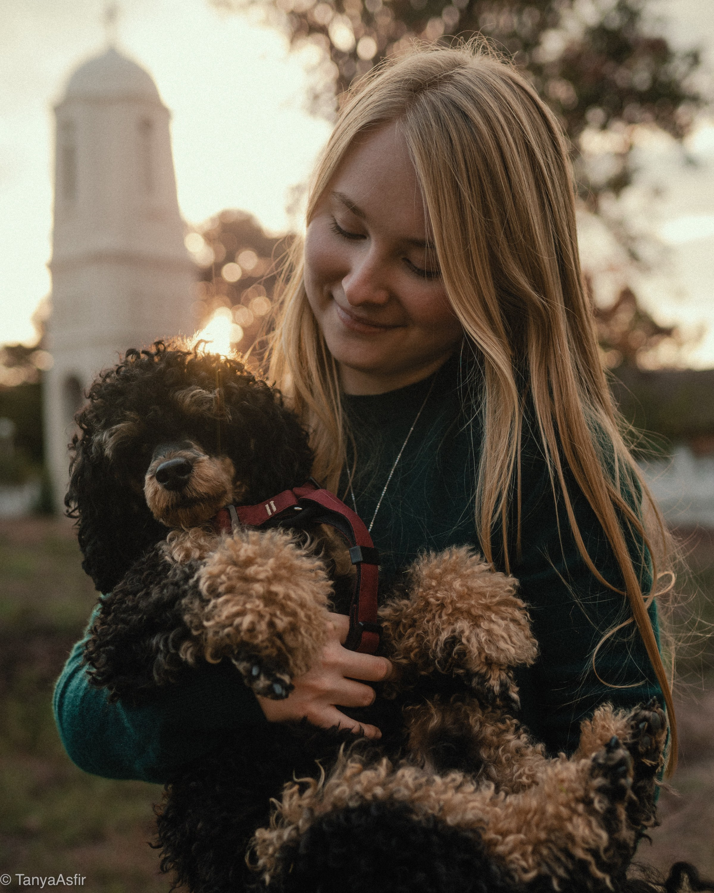 Outdoor Pet Photography by Tanya Asfir, Belgrade. Tanya Asfir — Pet & Animal Photographer | Belgrade, Serbia