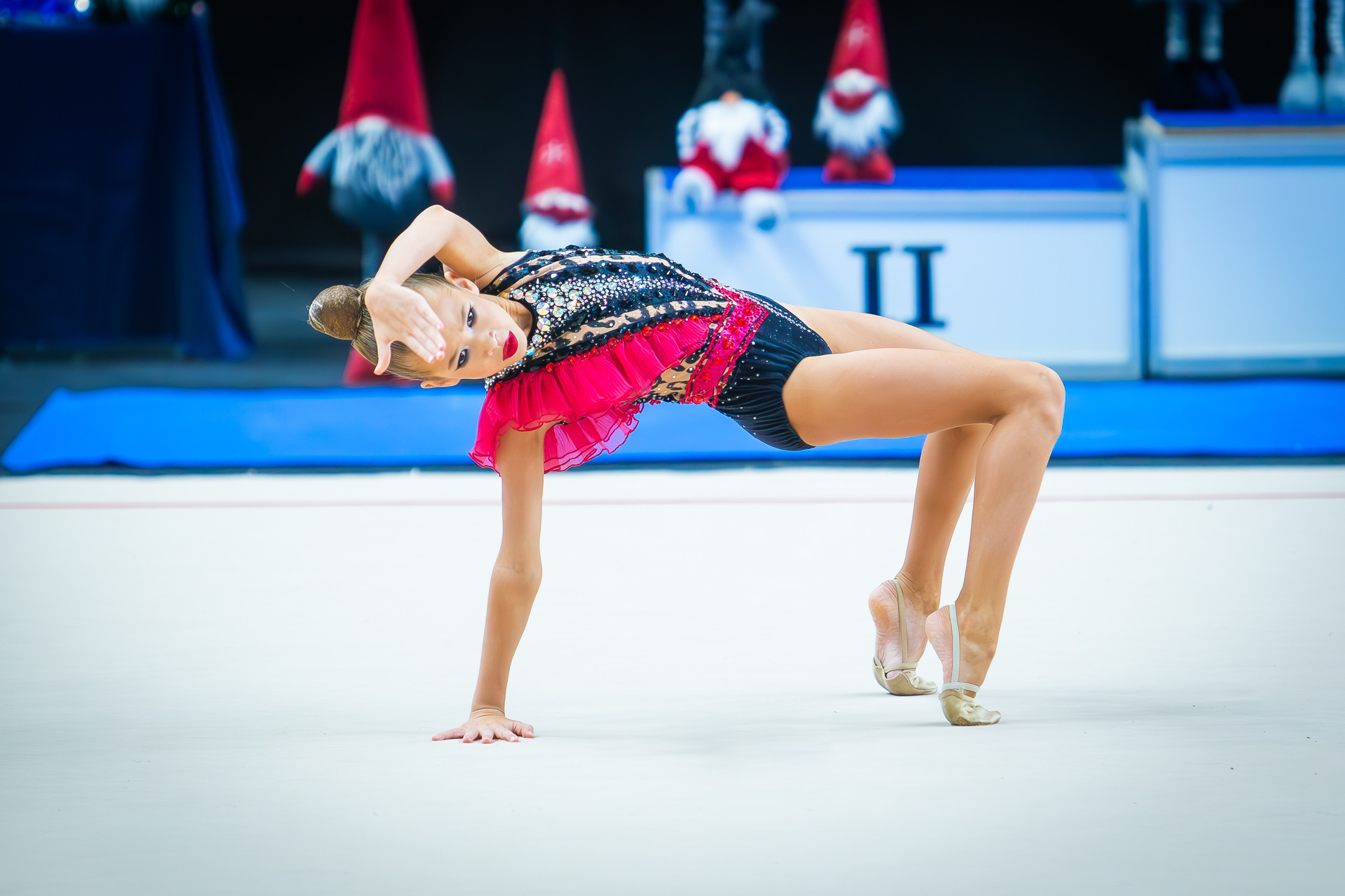 Галерея 2. Спортивная фотография, видео, трансляции