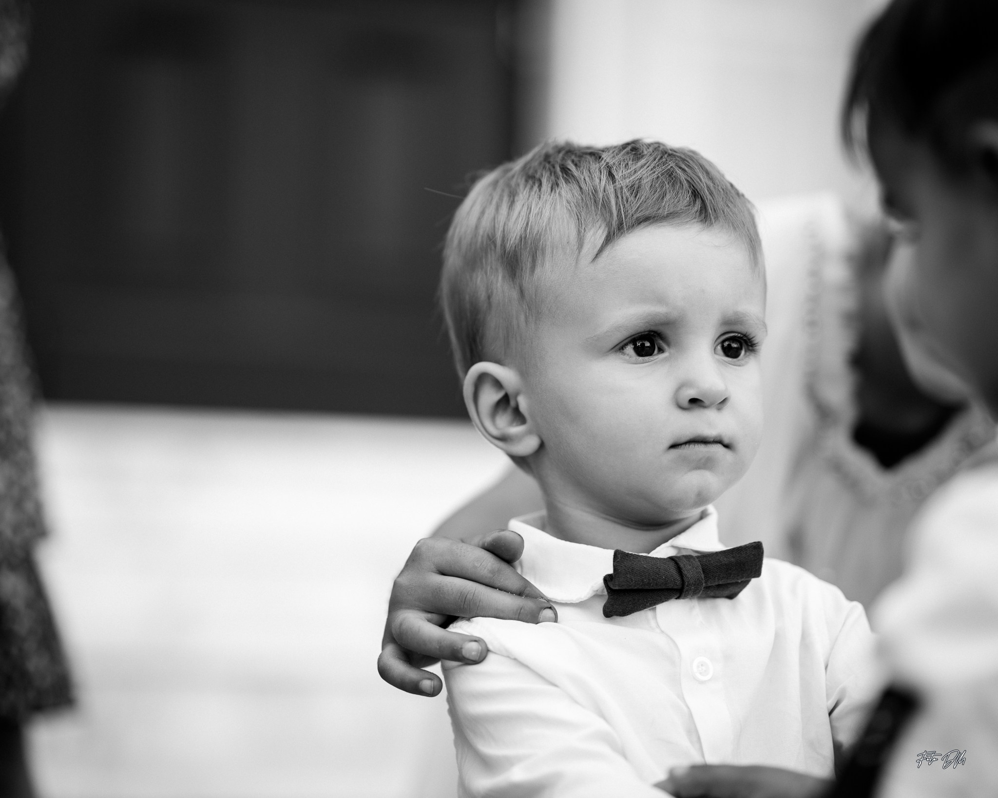 Daniela & Cristi | Civil Wedding. Fotografie & Videografie de nuntă în Timișoara