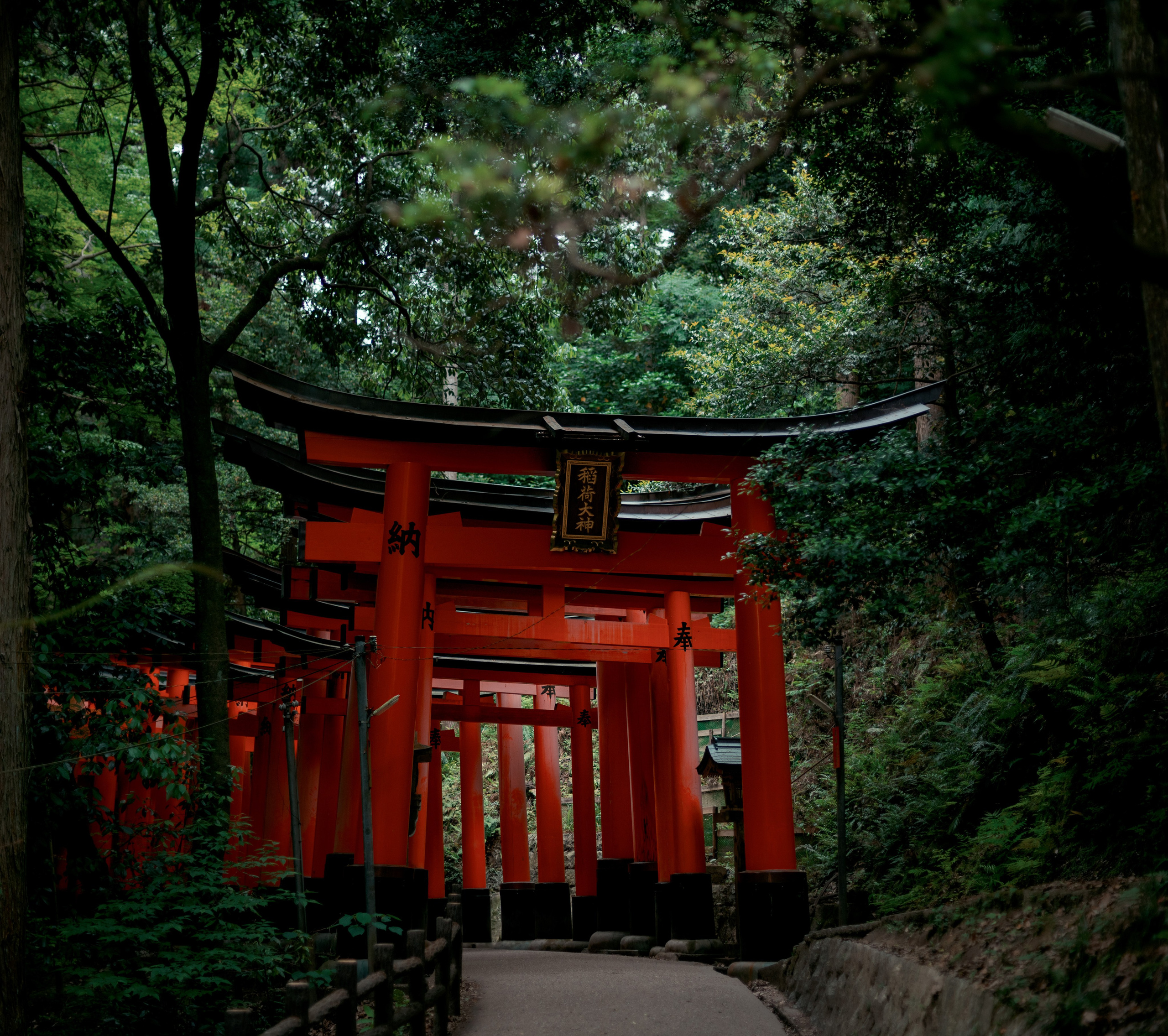 Japan. Artjom Kutuzov Photography