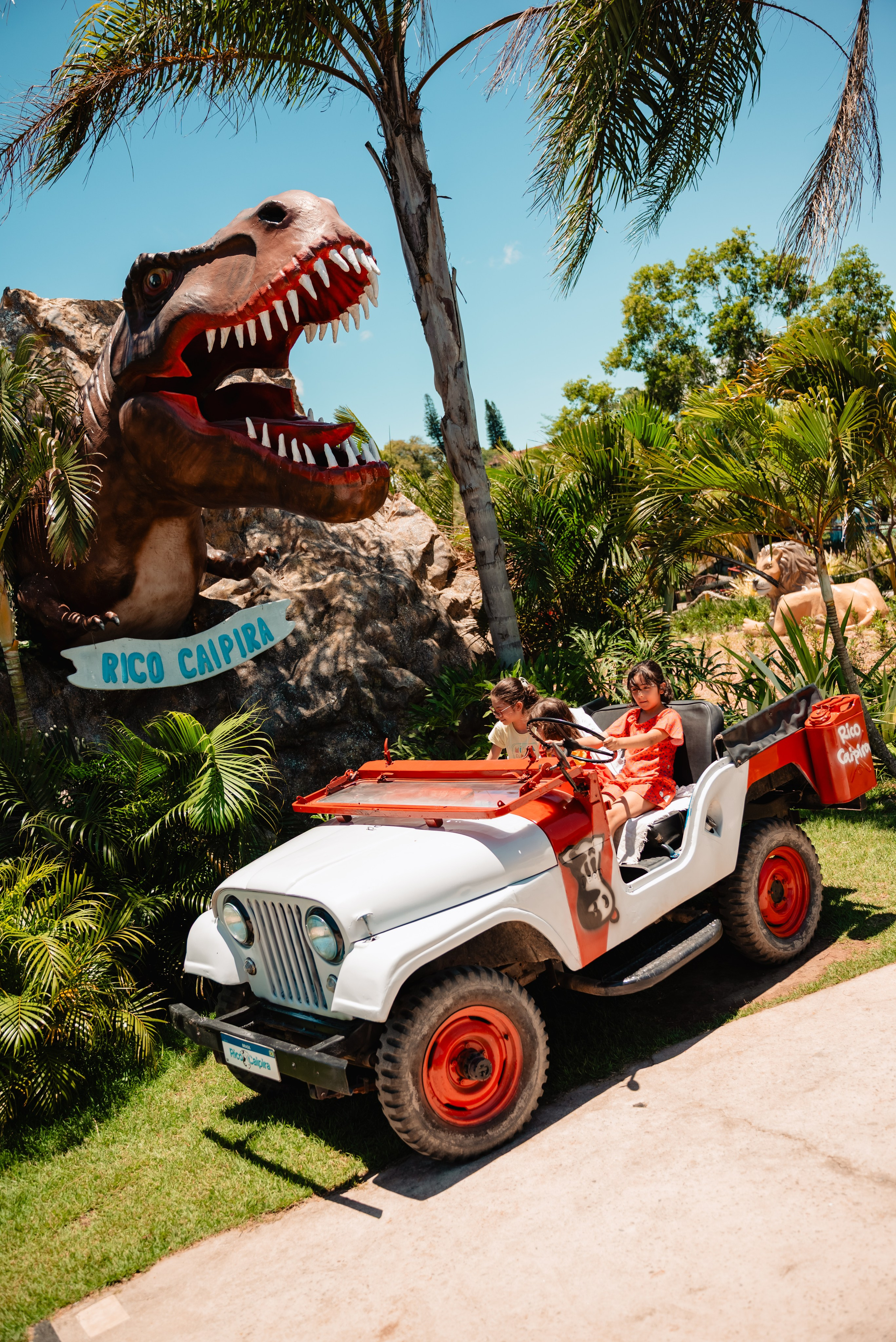 OS 5 anos da Bianca. Fotografo de casamentos e famílias no Espirito Santo — Marllus Milanez