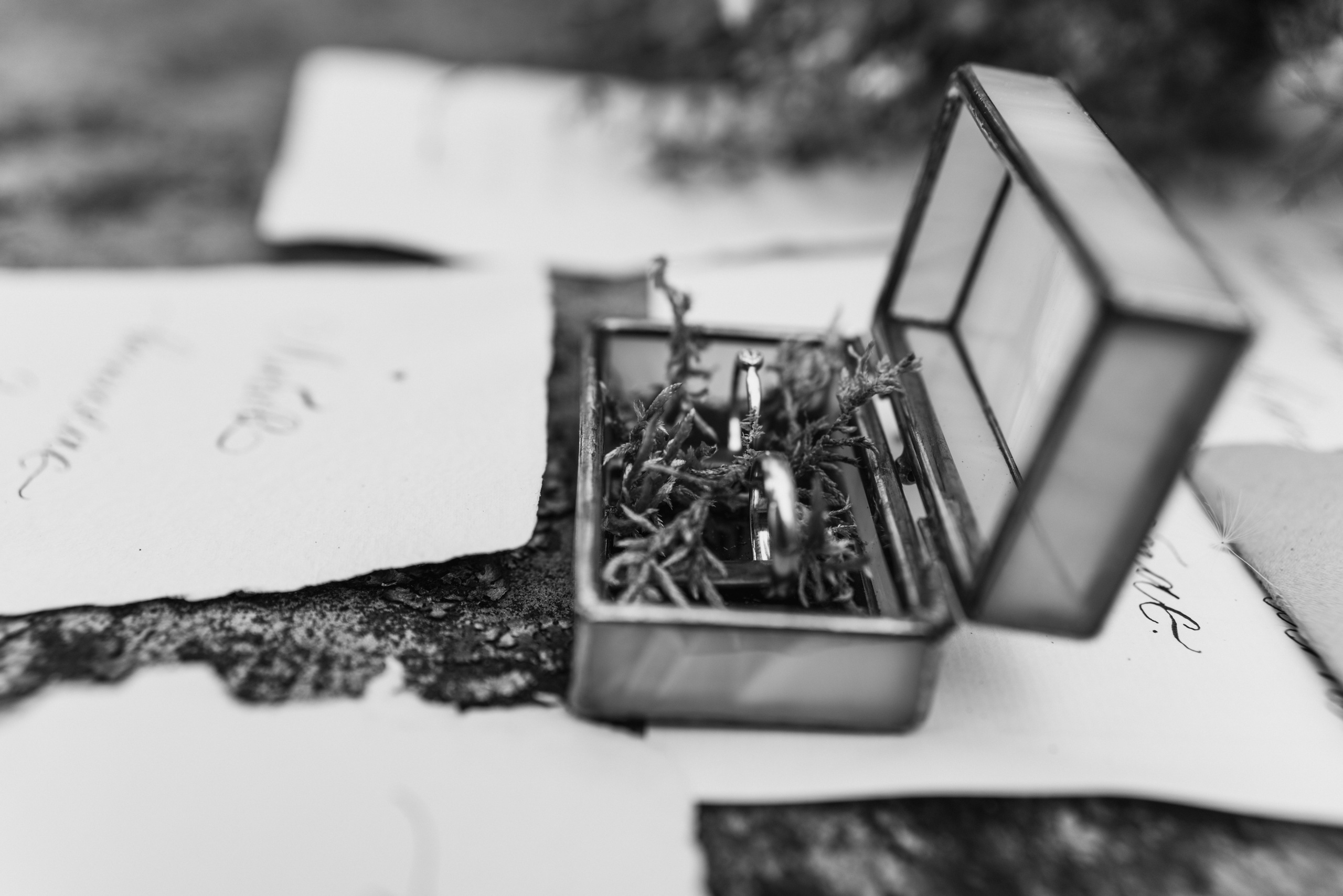 K&A. Photographer Netherlands