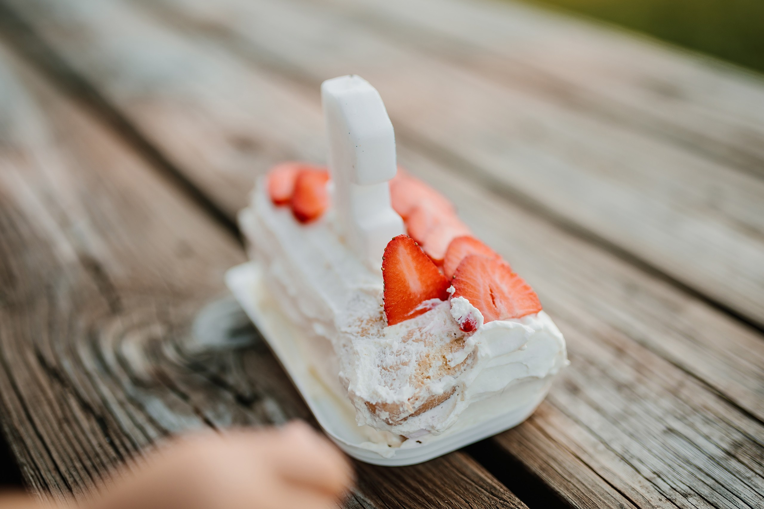 07.08.24 Family Photoshoot. Wedding family event photographer in Chicago Nick Yushevich