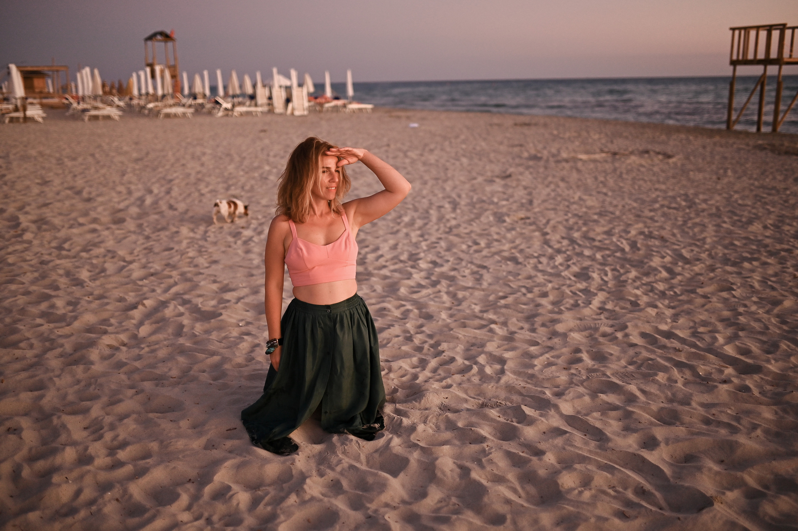 Sunset Walks & Sandy Paws