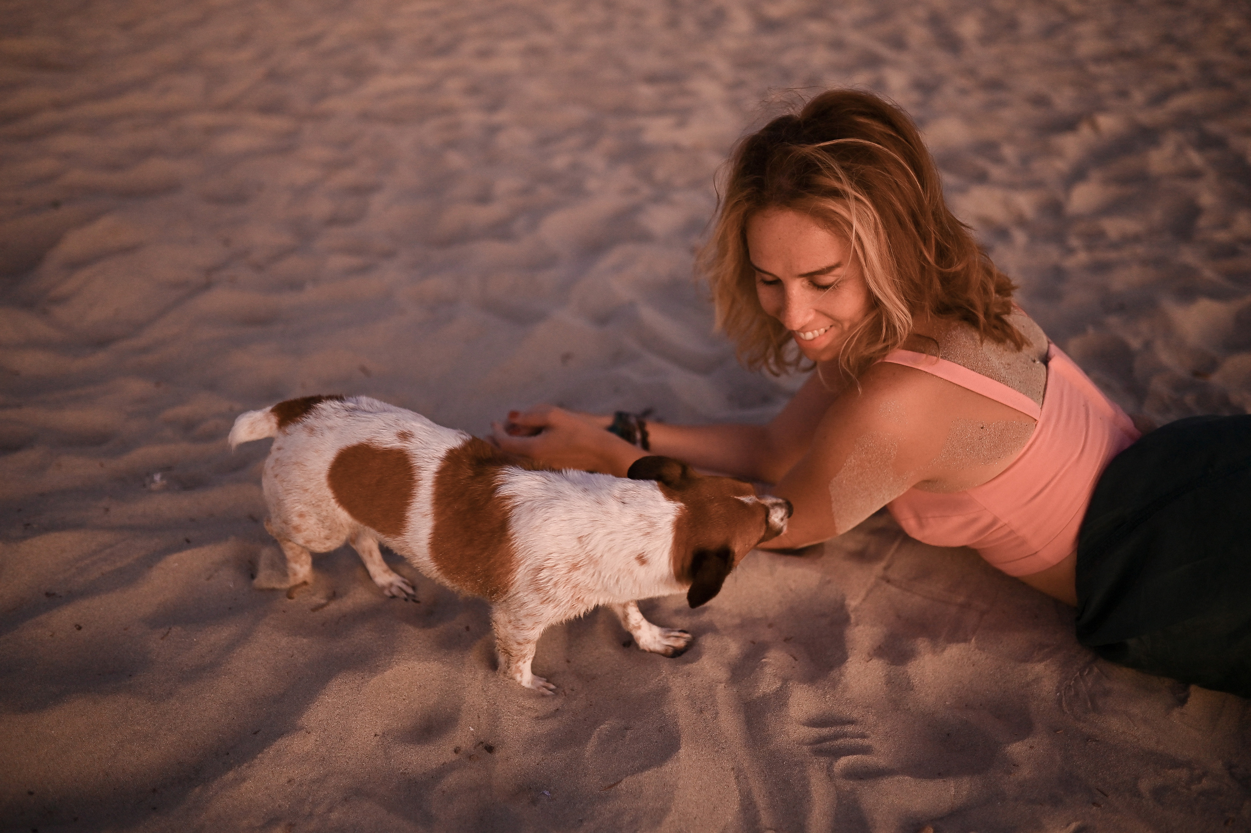 Sunset Walks & Sandy Paws