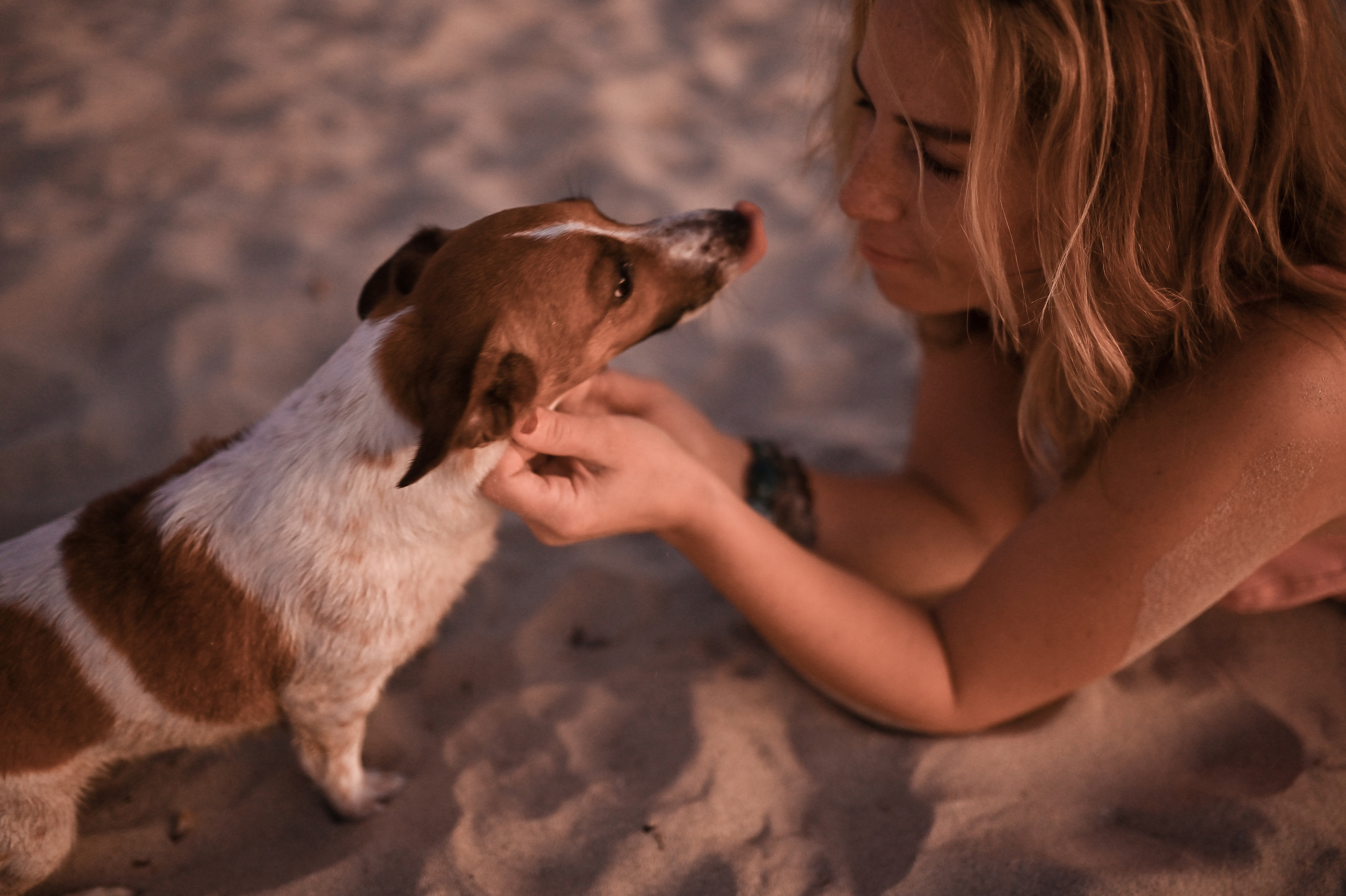 Sunset Walks & Sandy Paws