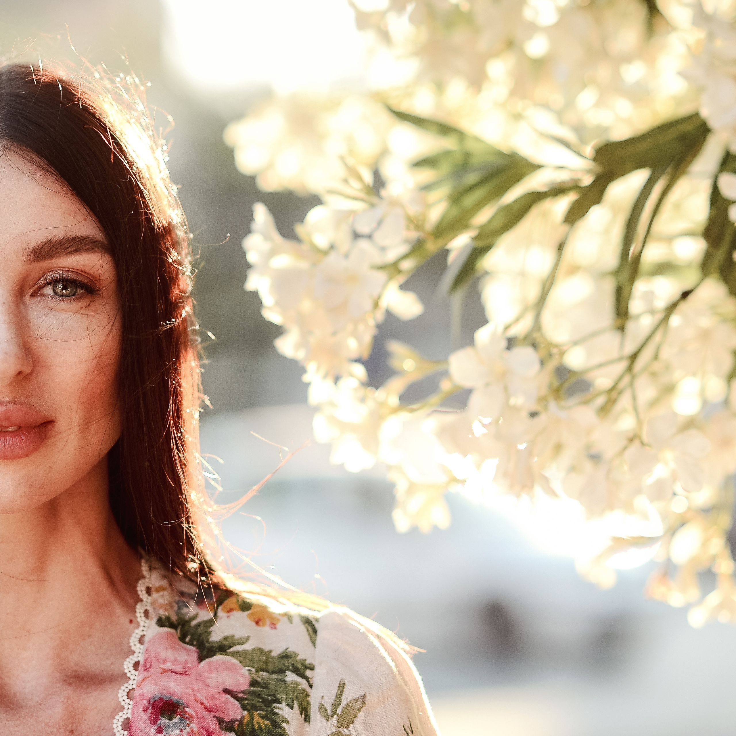 Photos in Italy Puglia Ostuni