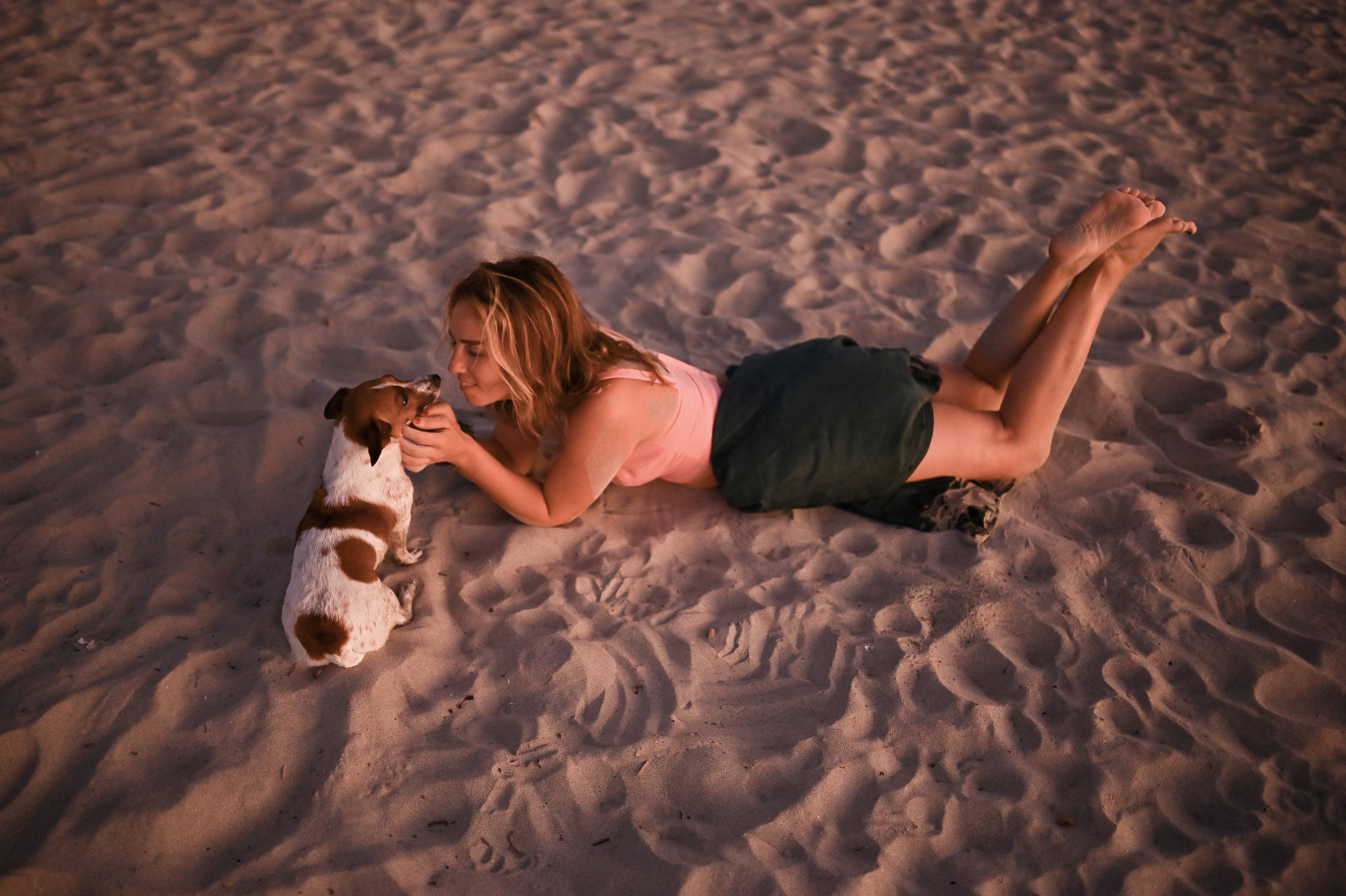 Sunset Walks & Sandy Paws