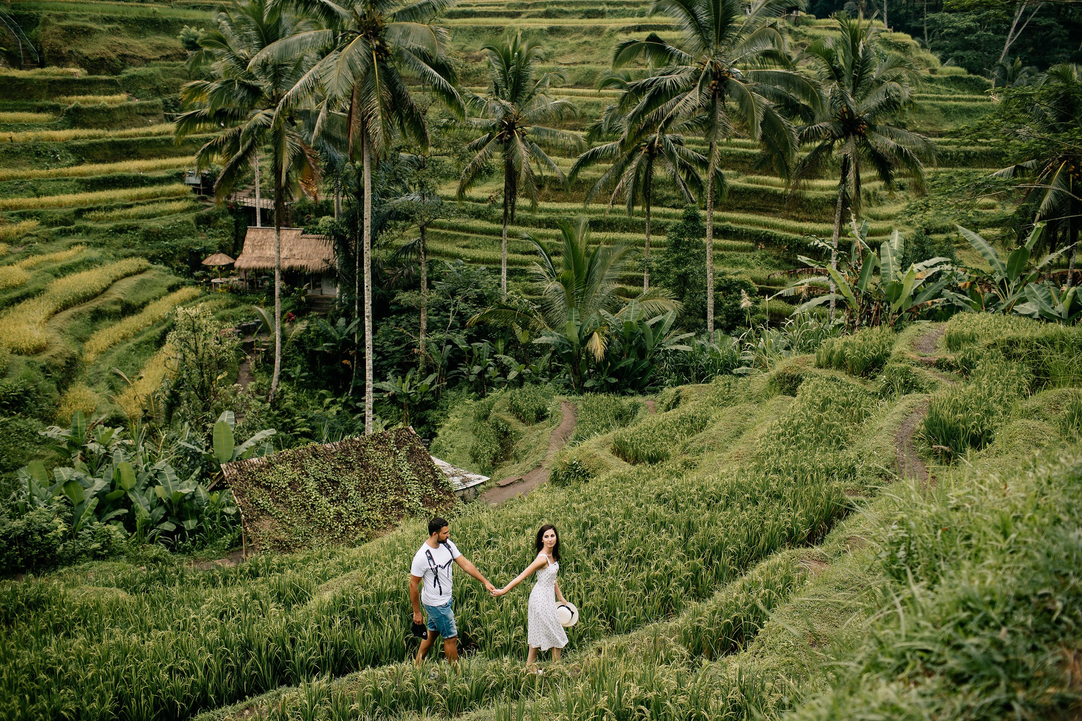 Hotel + Rice terraces. Getitfeel — Aesthetic Photography and Videography