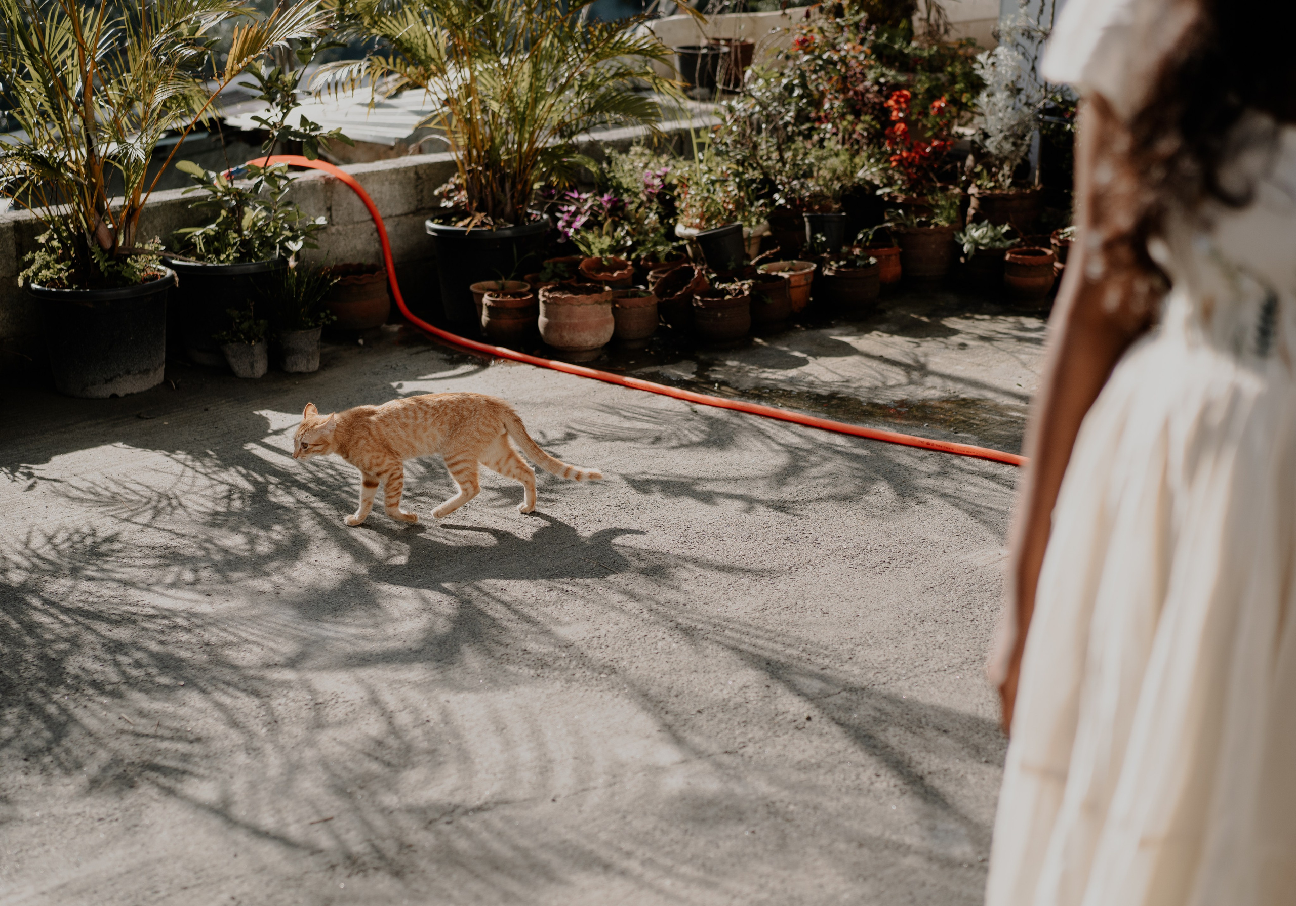 Tharani & Ramanan. Agam Vizha