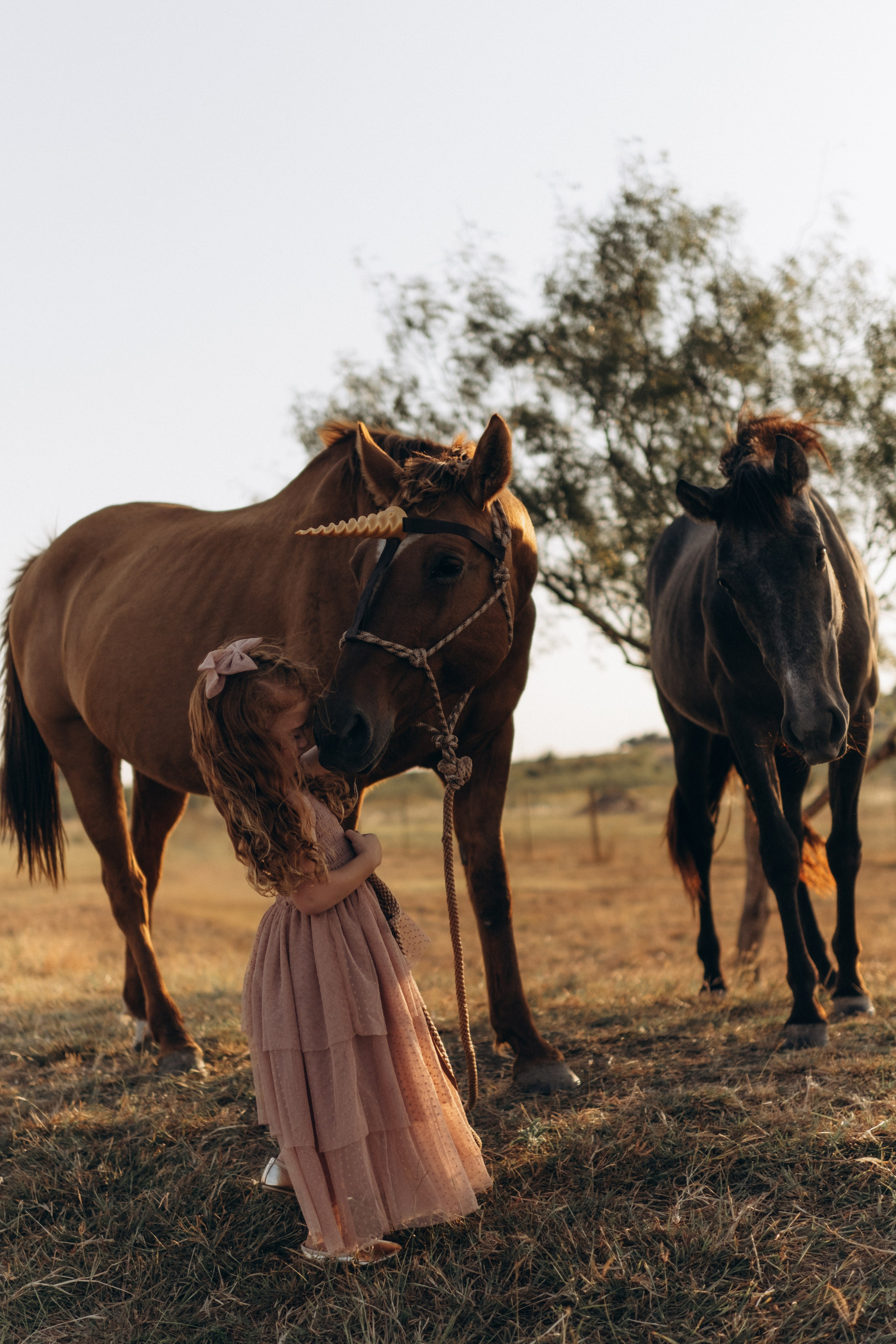 Little Princess. Lens Captures Life
