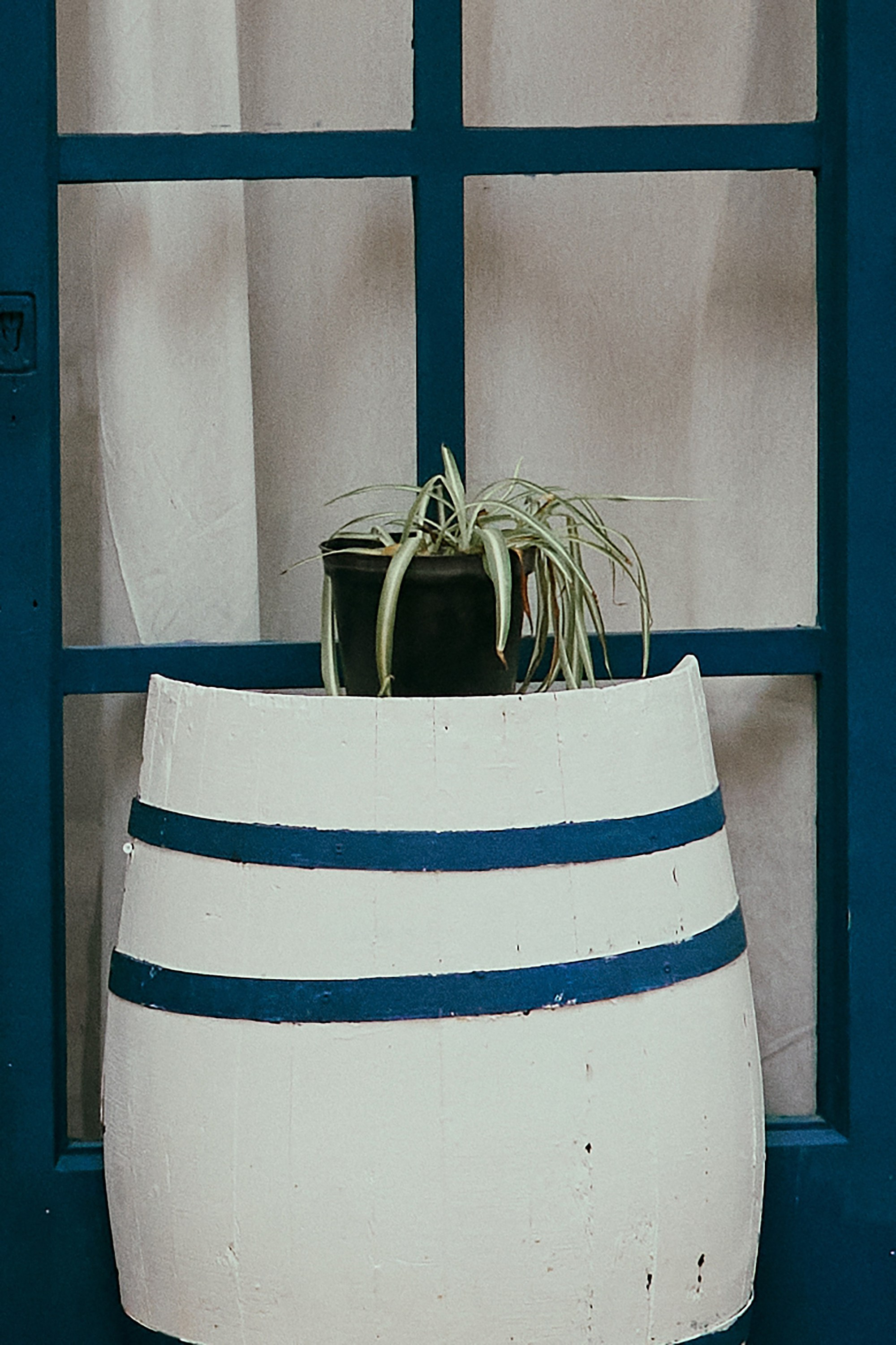 The runaway bride. Photographer in Barcelona Spain Zhanna Zakharchenko