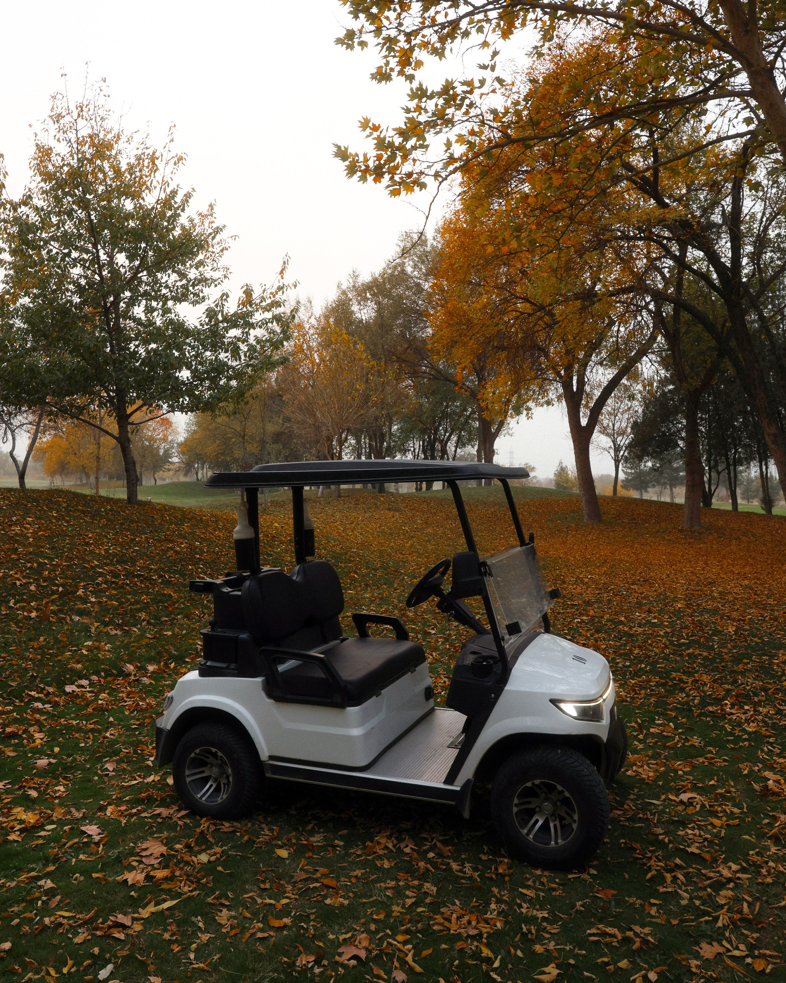 Golf. Камрон Рахмонов профессиональный фотограф г. Ташкента и Коканда