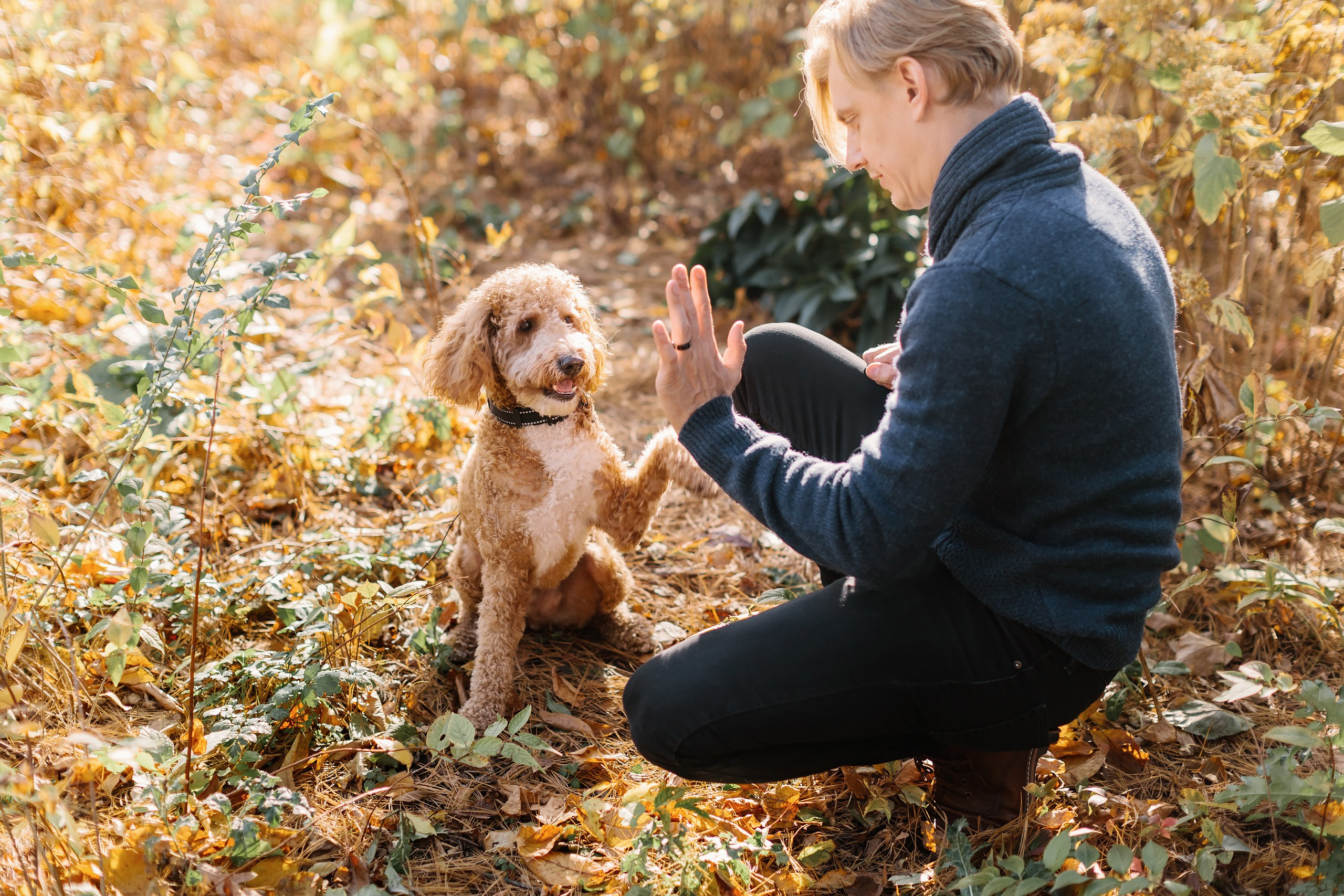 11.02.2024 Love Story. Wedding family event photographer in Chicago Nick Yushevich