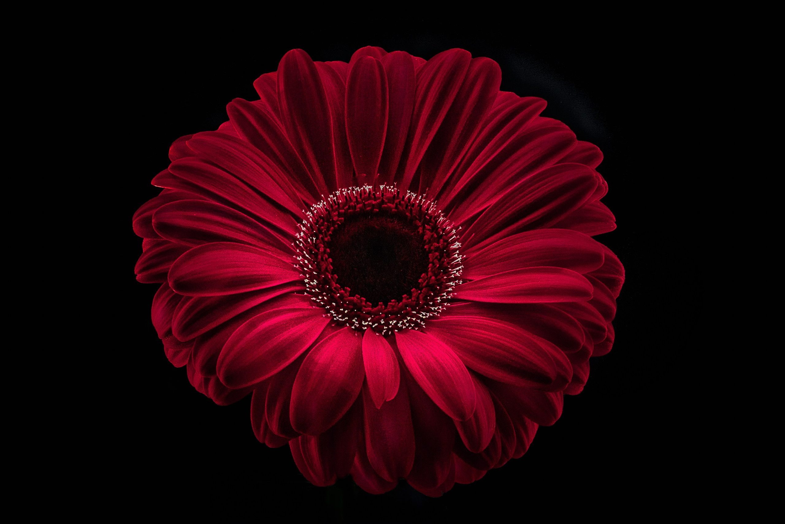 Portret bebeluș la botez realizat de Mitroi Iulian