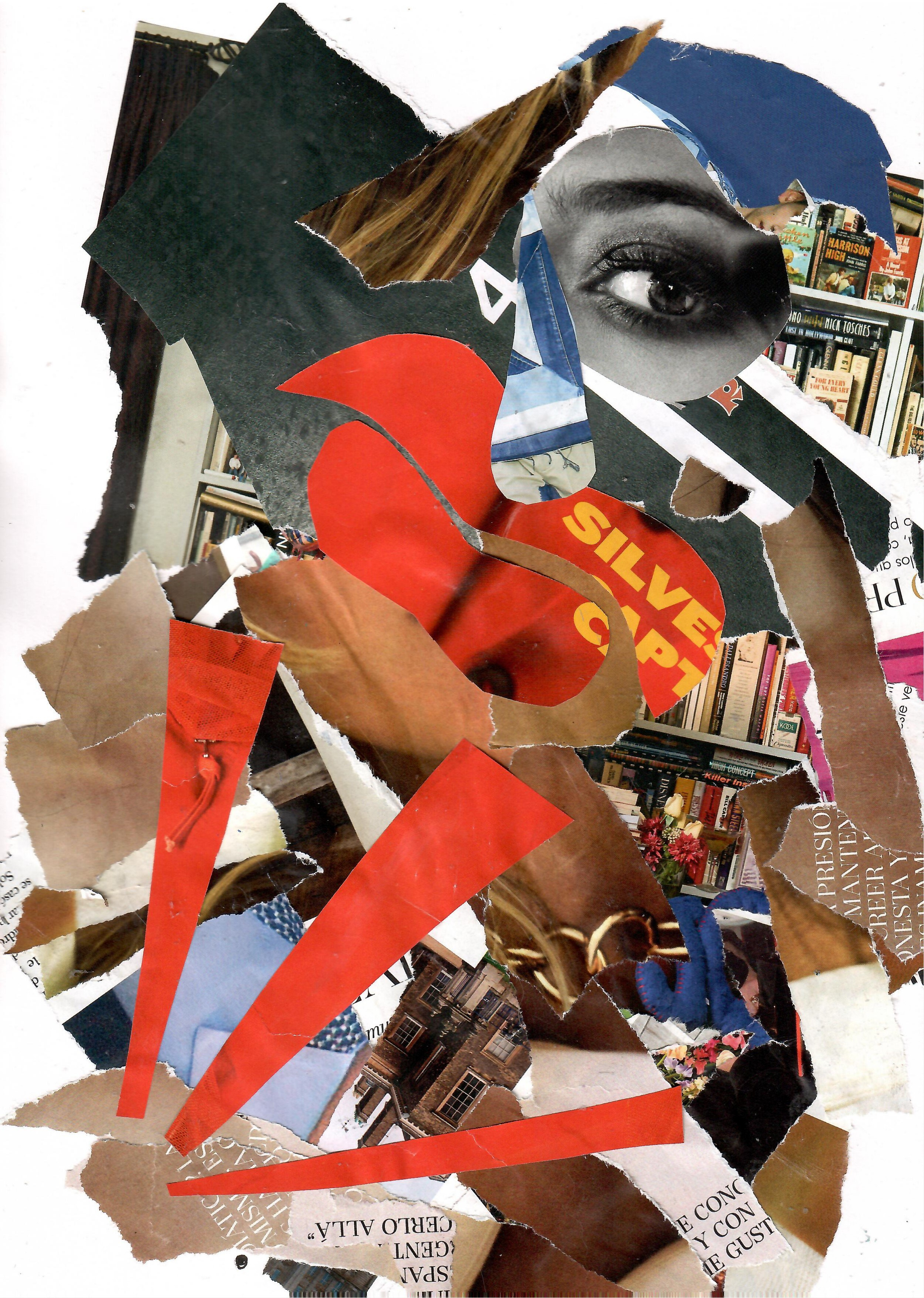 Рина Луковникова. Художник-коллажист