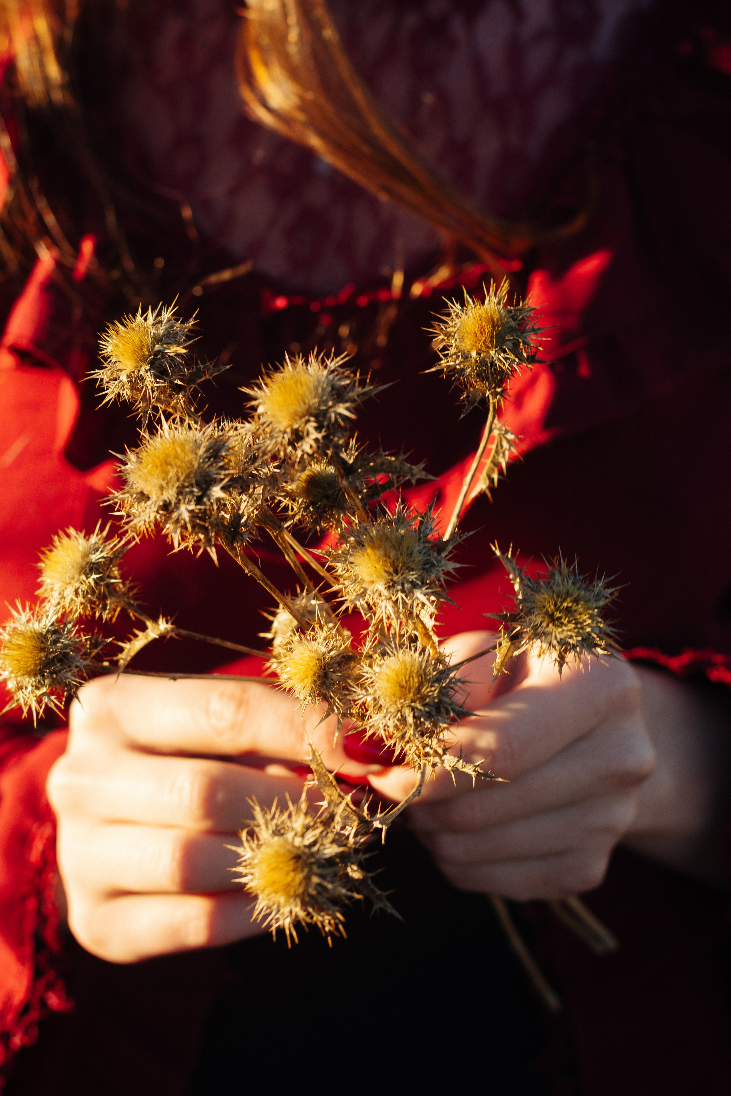 Anna. Shpanarskiy Nazar