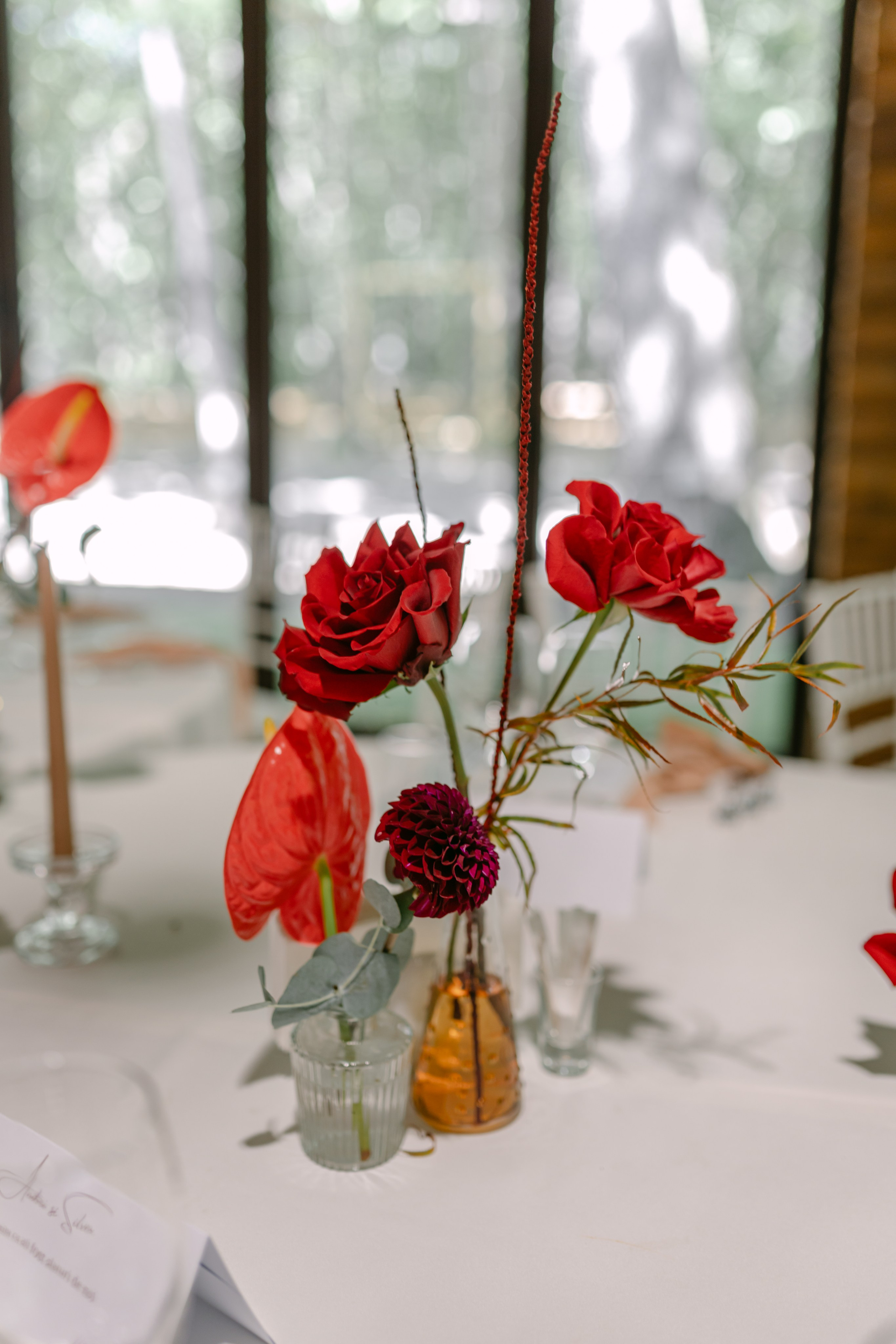 Corina | Alex. Gabrielacojocariu.com