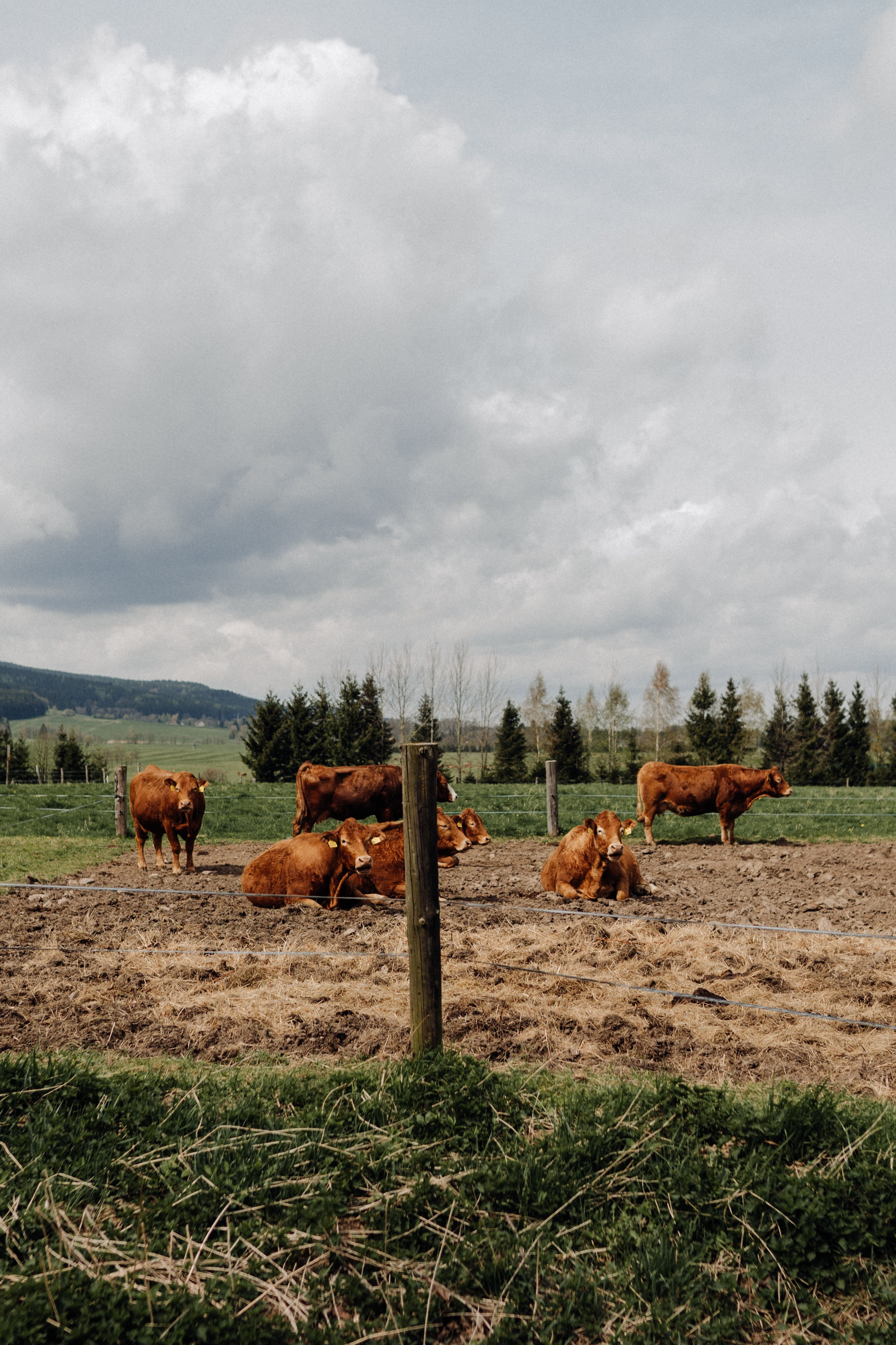 Czech Republic. Фотограф в Праге Анна Лебедева