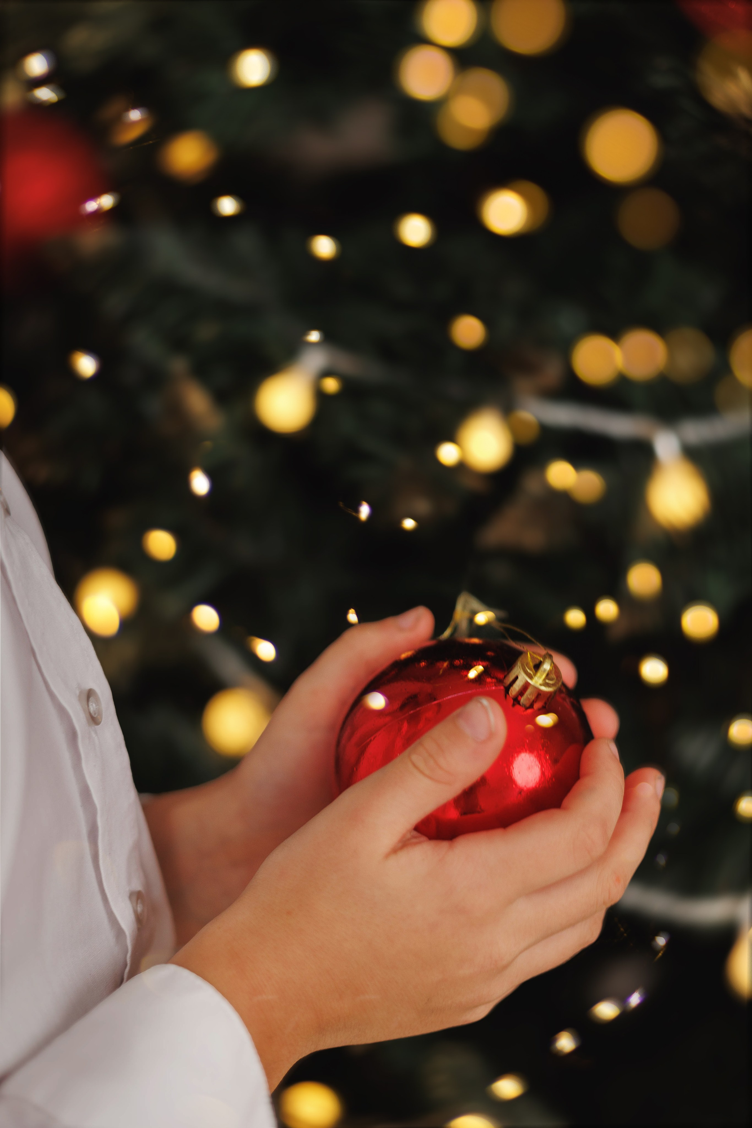 Новогодняя съёмка в студии. Семейный и детский фотограф в Вильнюсе Светлана Наумова