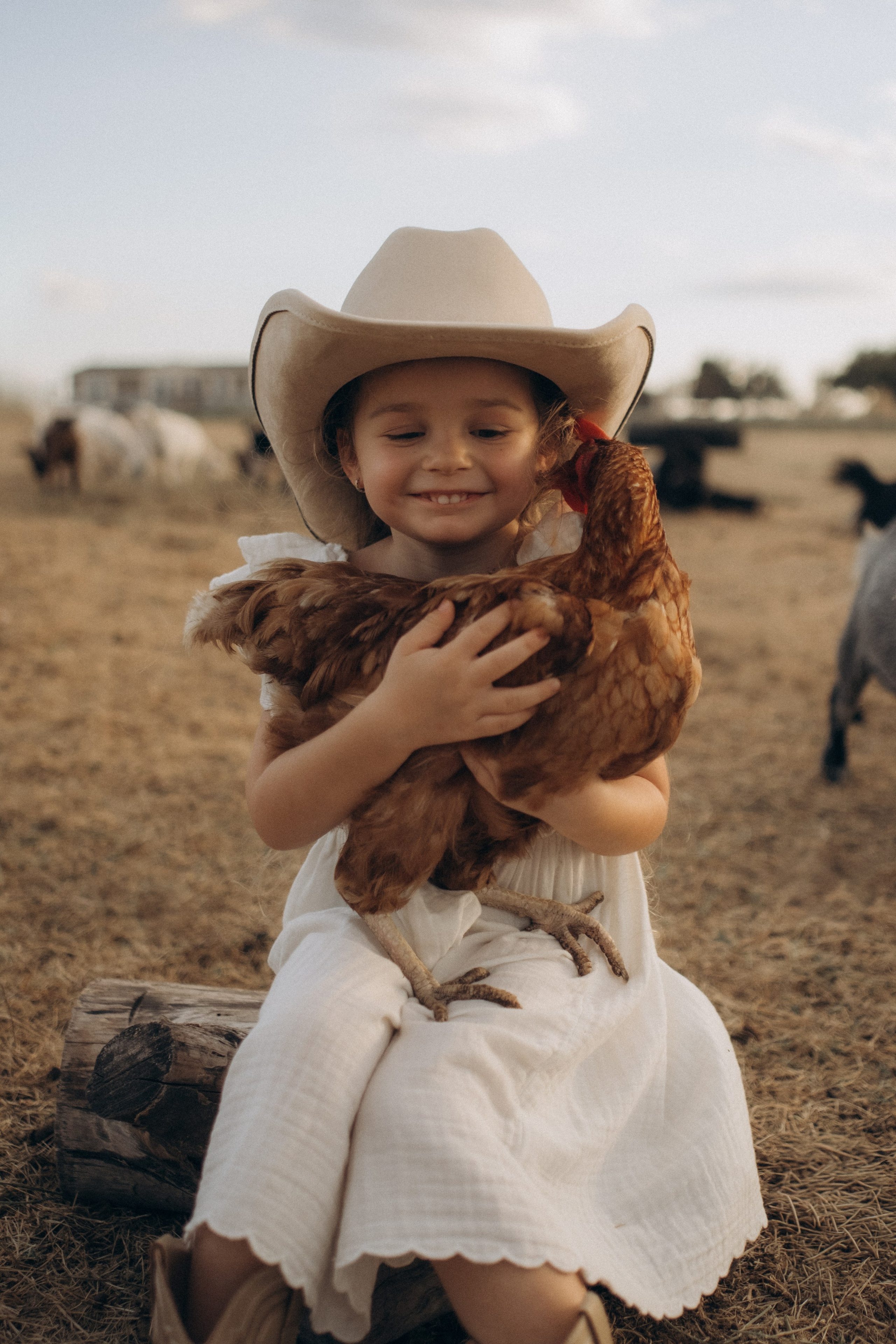 Farm Story. Lens Captures Life