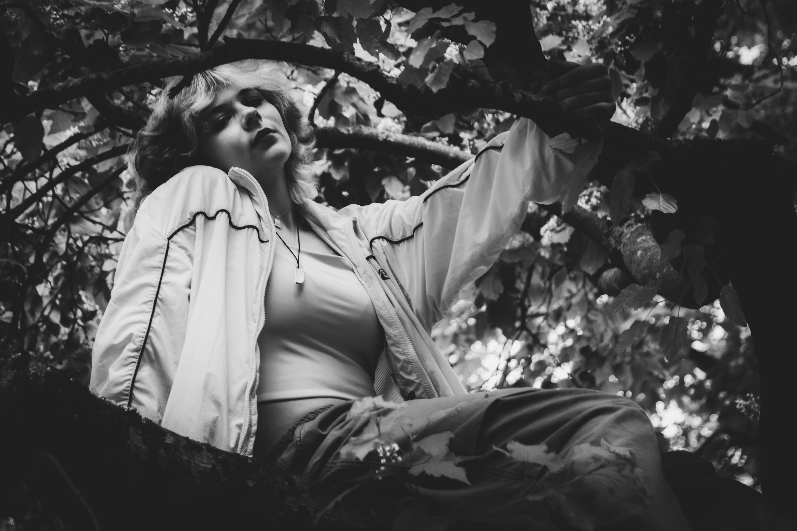 Lahe graatsia (Sonja). Nebula 25 — Fotod teie hingele