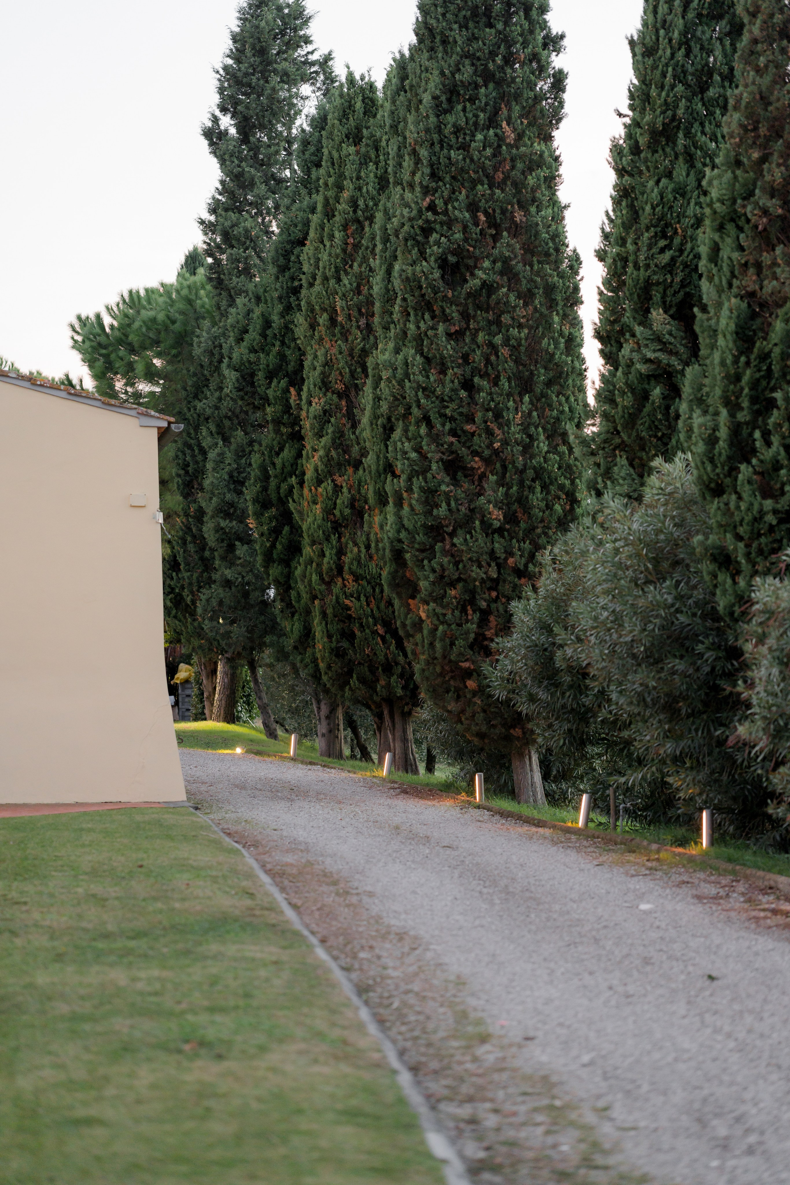 Dom&Ally. Весільний фотограф Вікторія Саврук